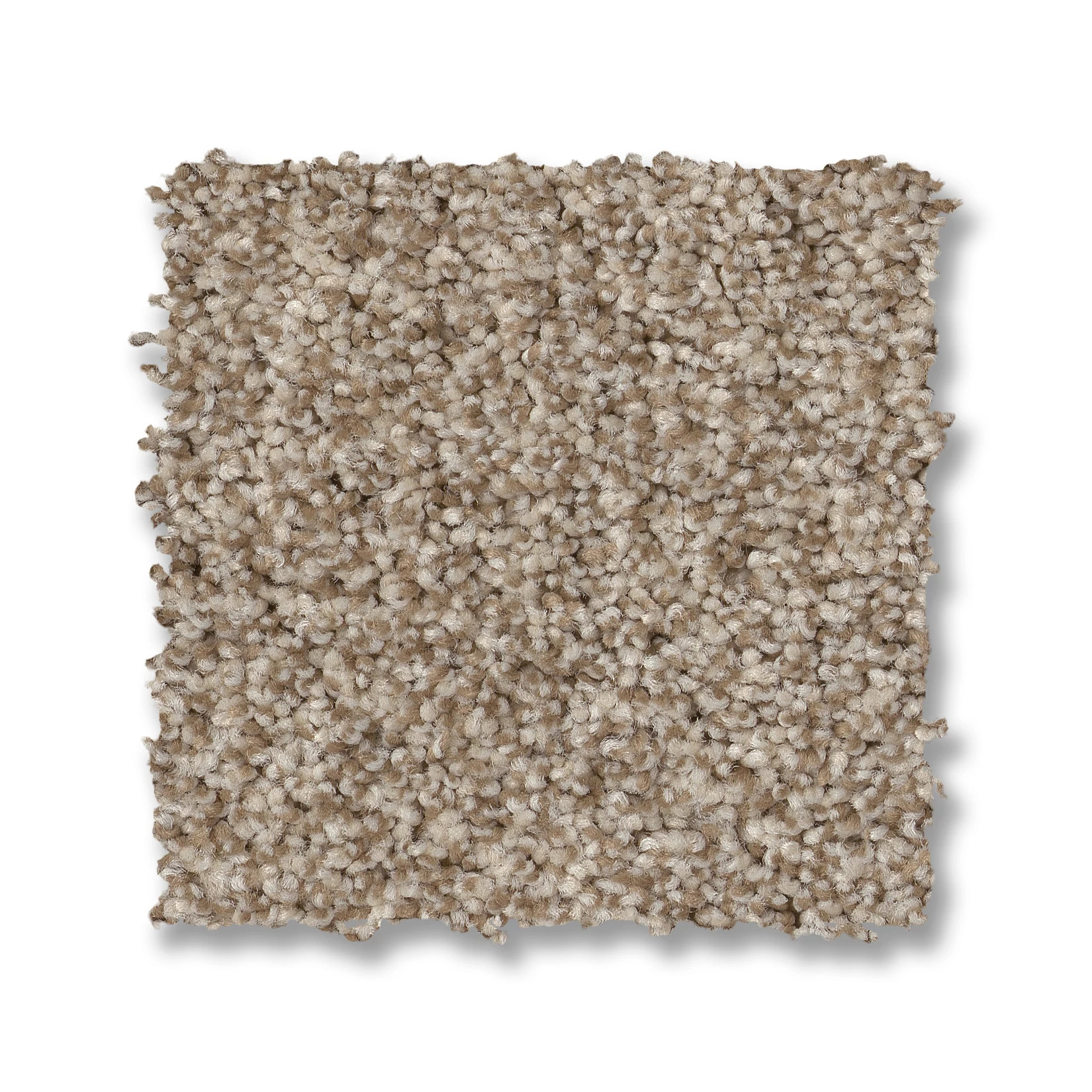 TERRA NOVA MEDITATION SWATCH