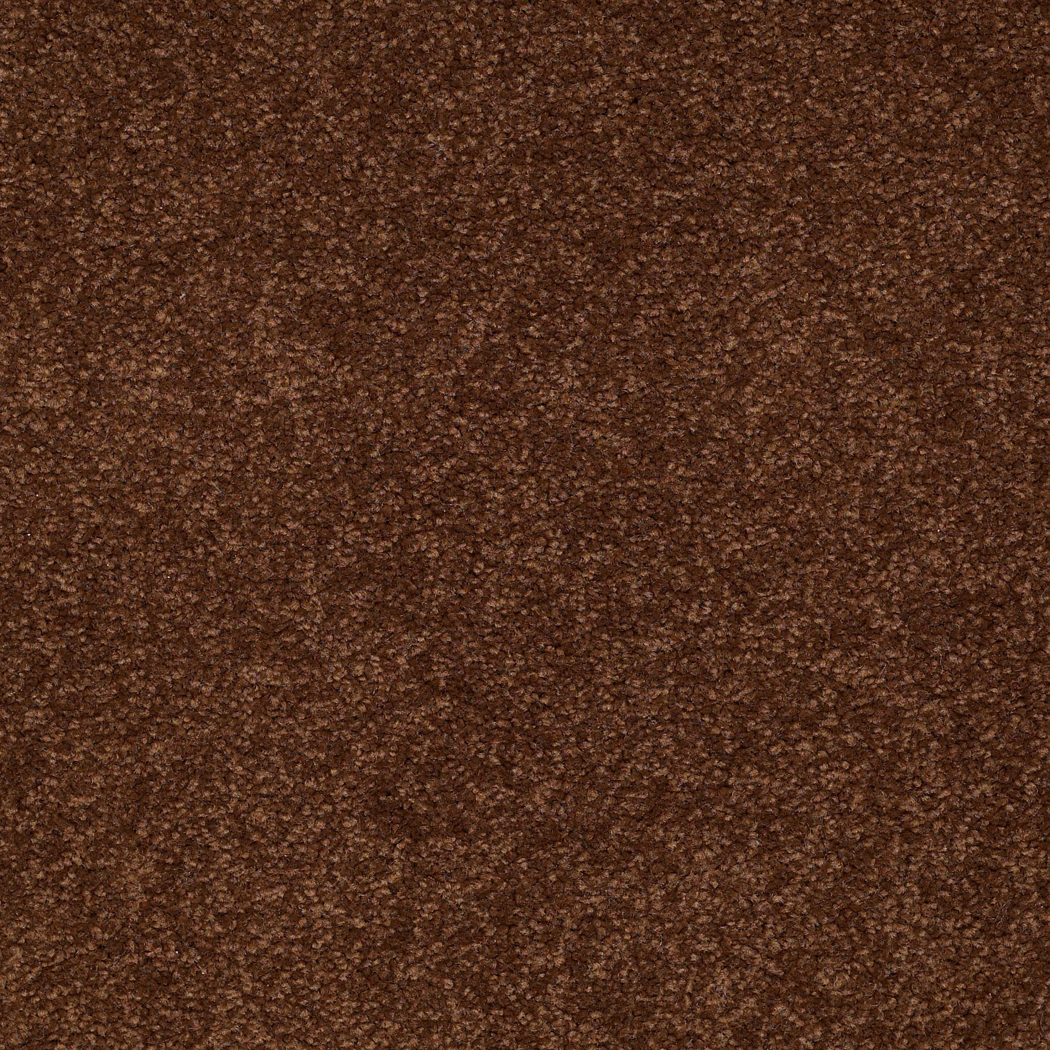 TIMELESS APPEAL III 15' TORTOISE SHELL MAIN