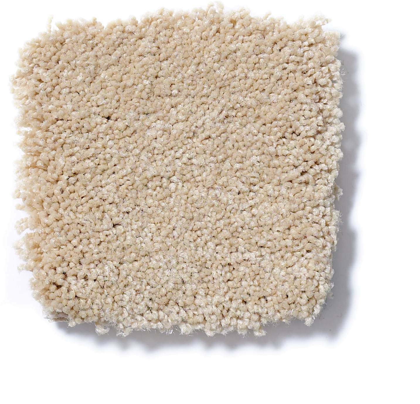 ULTIMATE EXPRESSION 12' MARZIPAN SWATCH