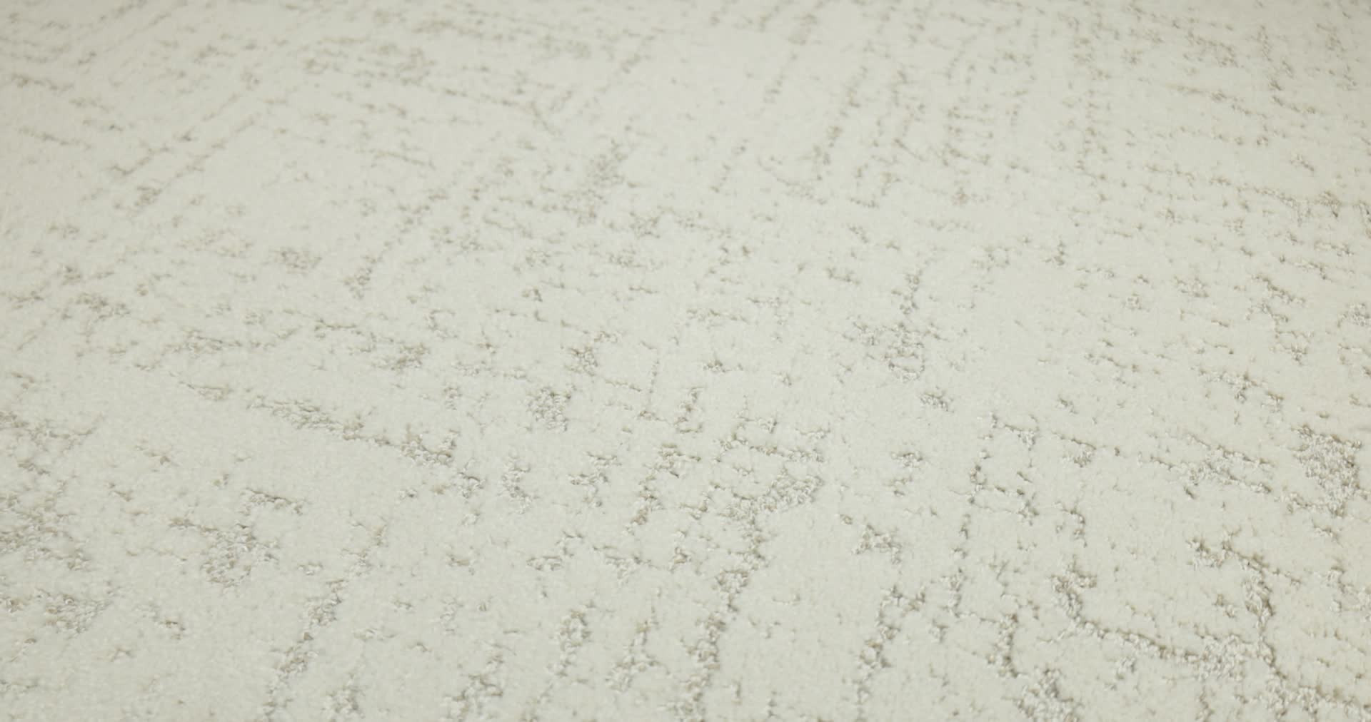 SINCERE FOCUS CLASSIC PEARL 360PROD