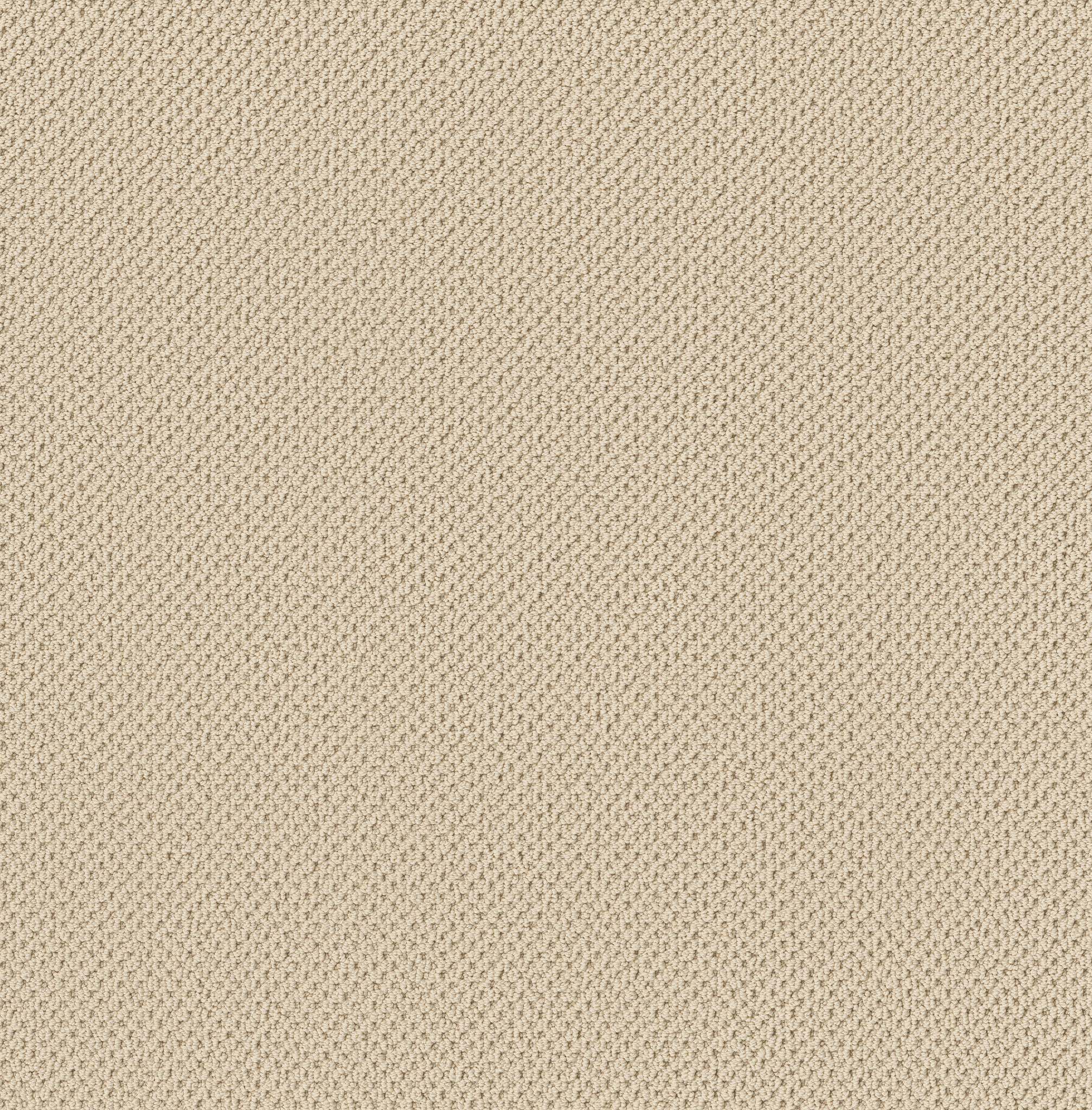 GRACIOUS CREAMY MAIN