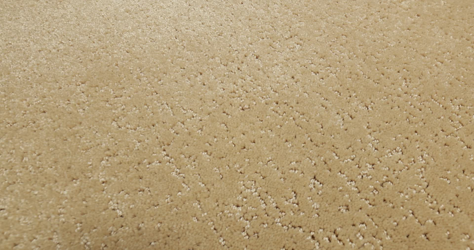 CANVAS COMFORT PASTA RECIPE 360PROD