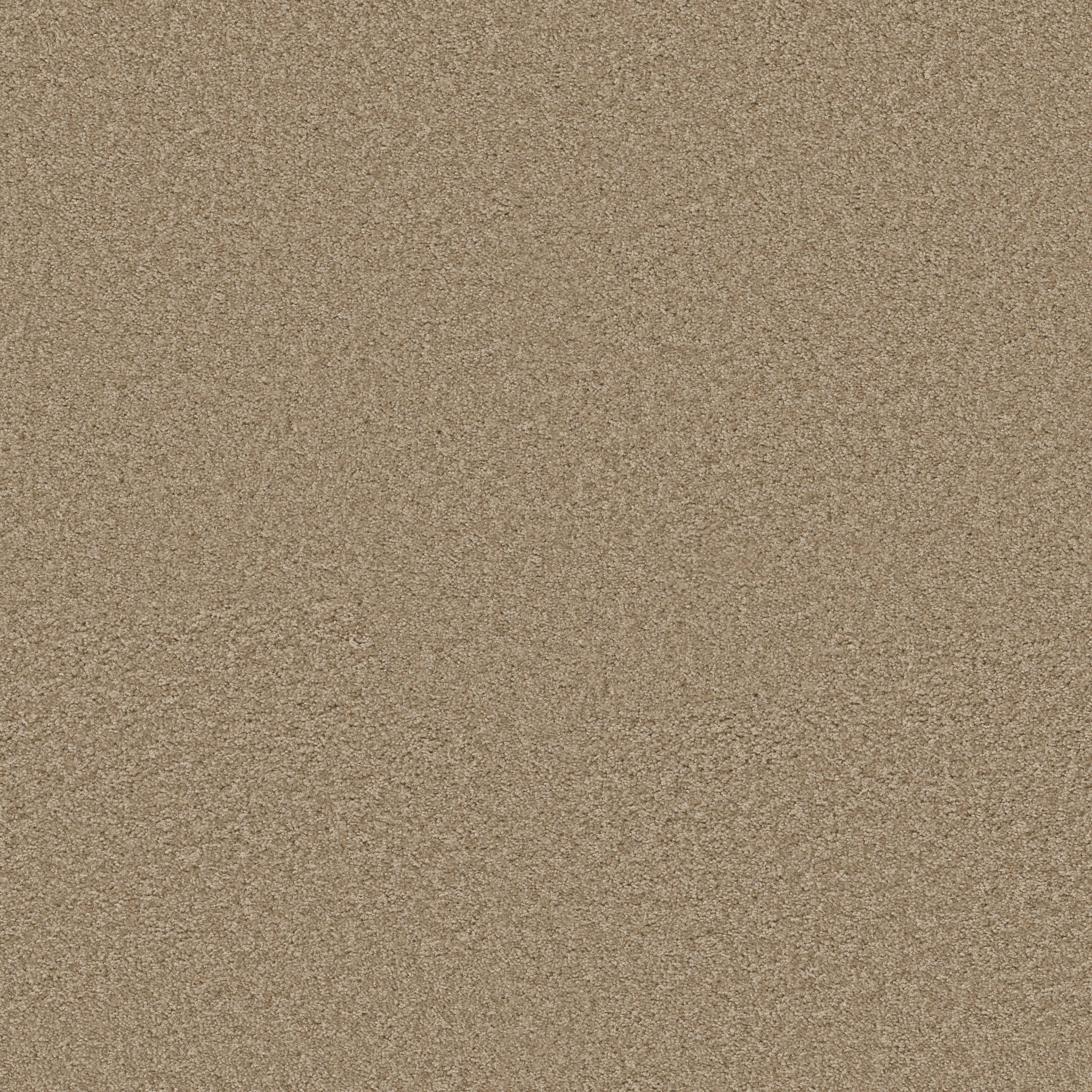 VITALIZE (S) 12' DUSTY TRAIL MAIN