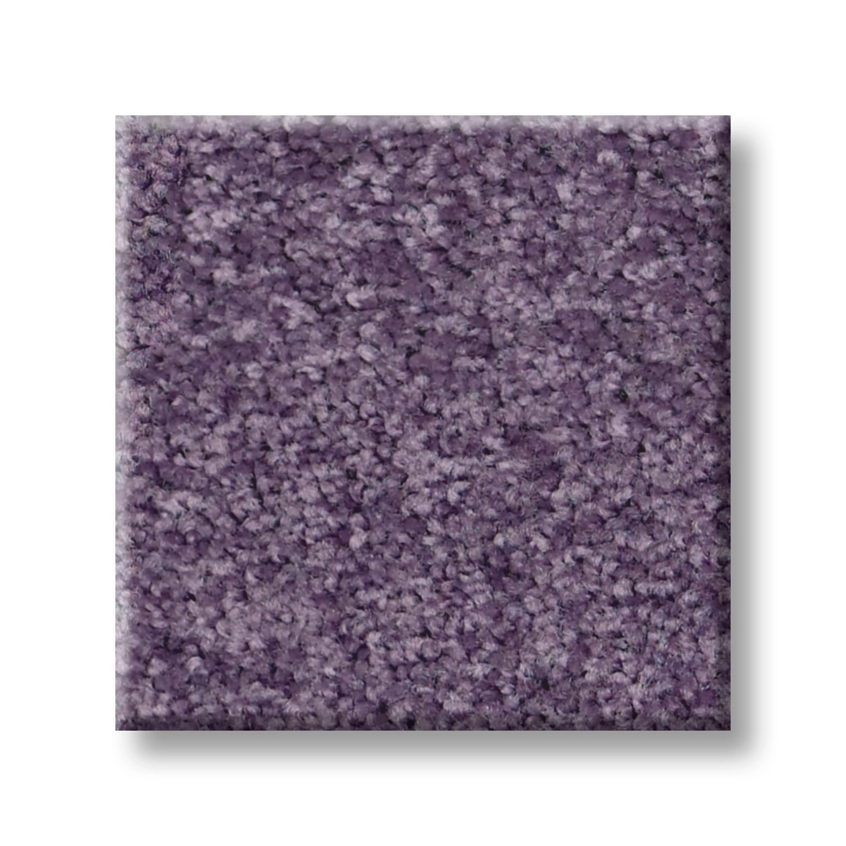 DYERSBURG CLASSIC 15' VIOLET CRUSH SWATCH