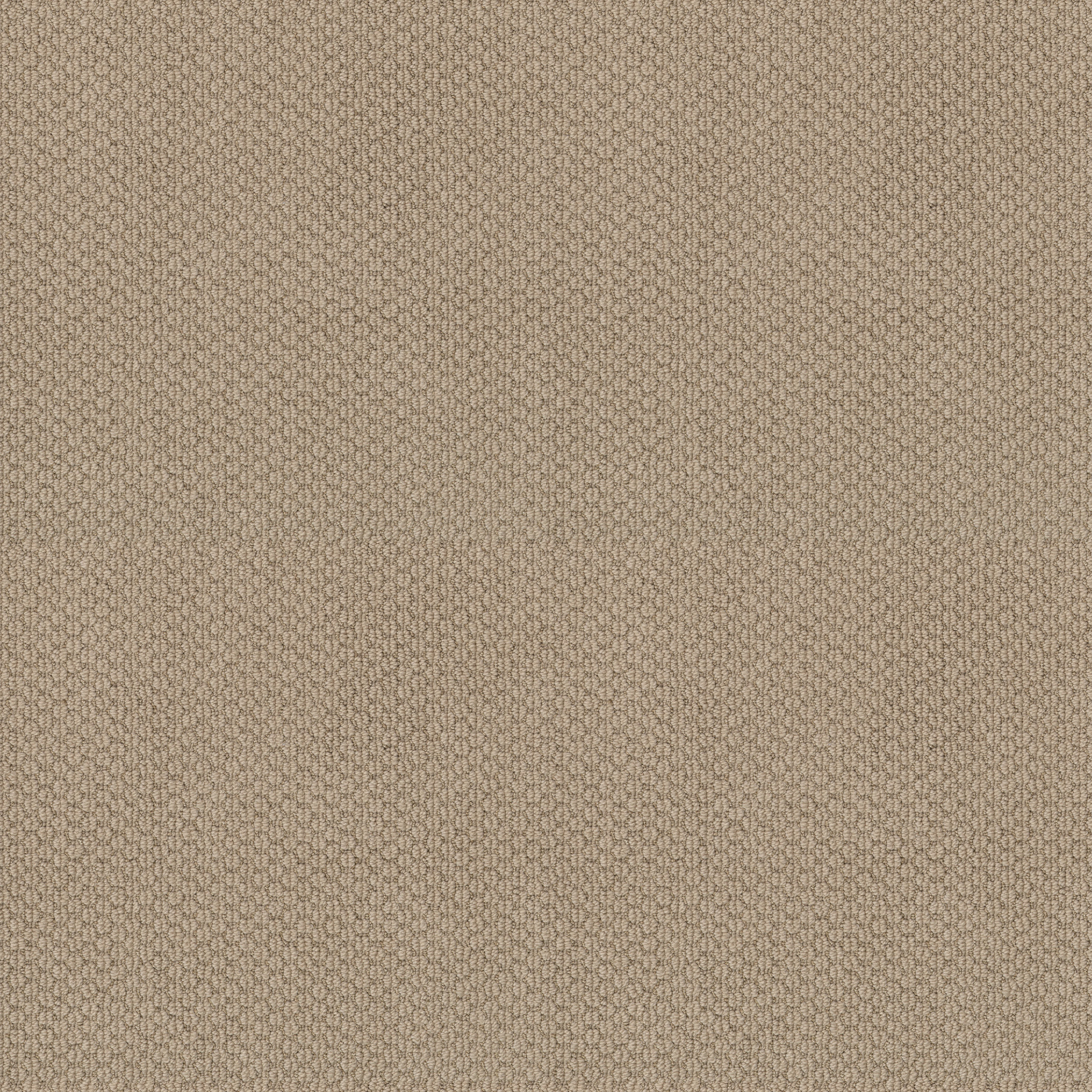 CATHEDRAL HILL II FEATHER MAIN