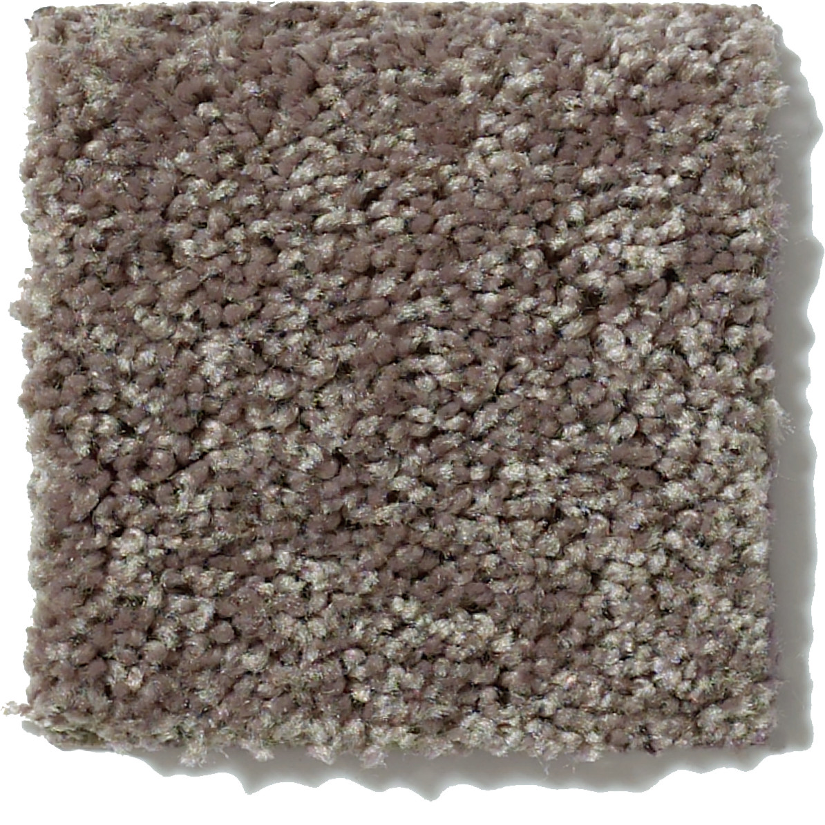 ROYAL PORTRUSH III 15' DRIFTWOOD SWATCH