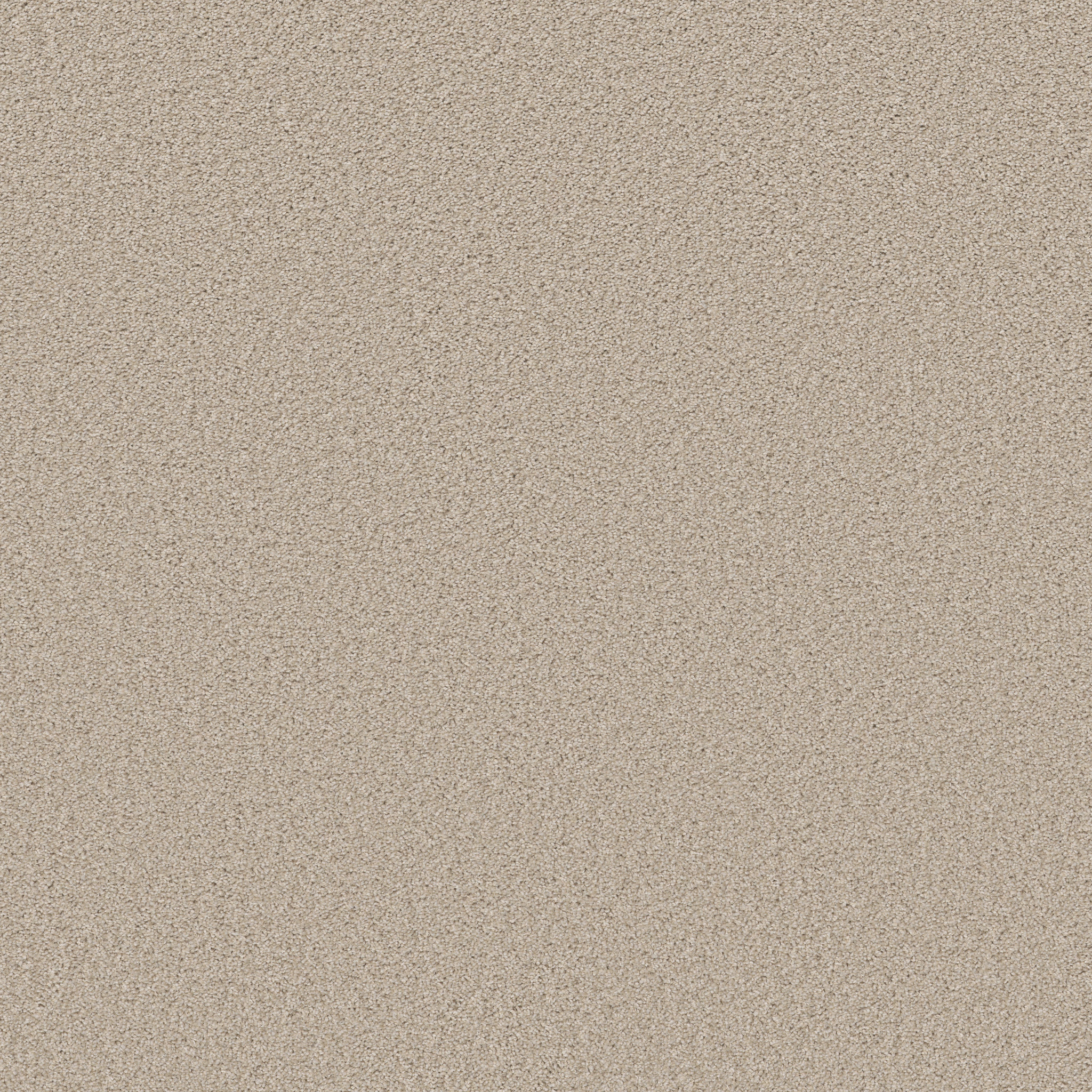 HIGH IMPACT T AURA MAIN