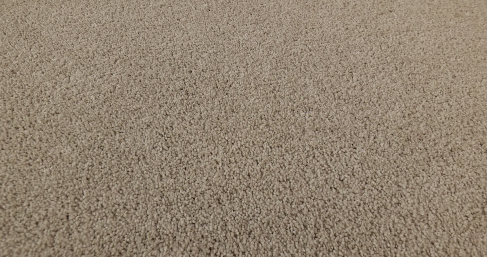 WHAT'S UP FRENCH CANVAS 360PROD