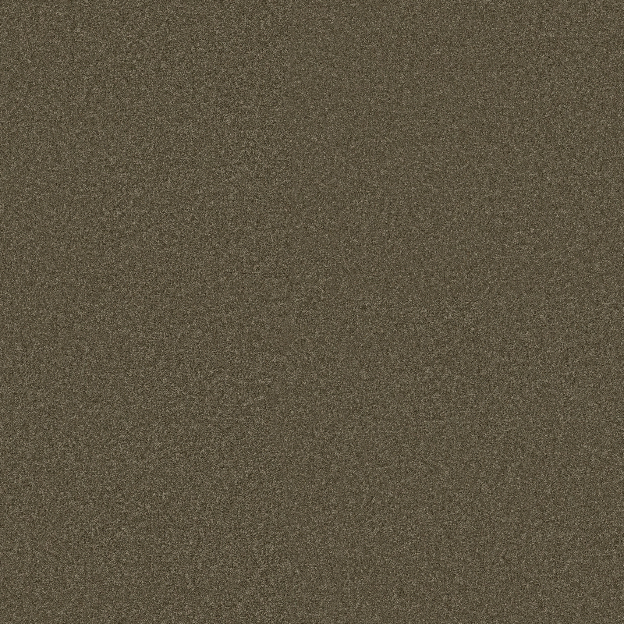 SHINGLE CREEK IV 15' CASTLE ROCK MAIN