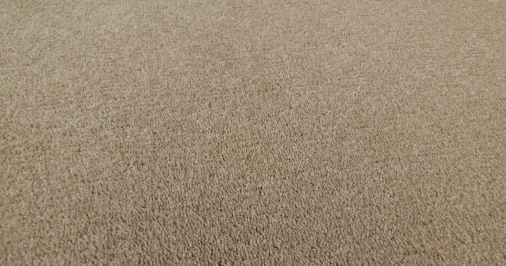 STEP RIGHT UP I 12' ALMOND BARK 360PROD