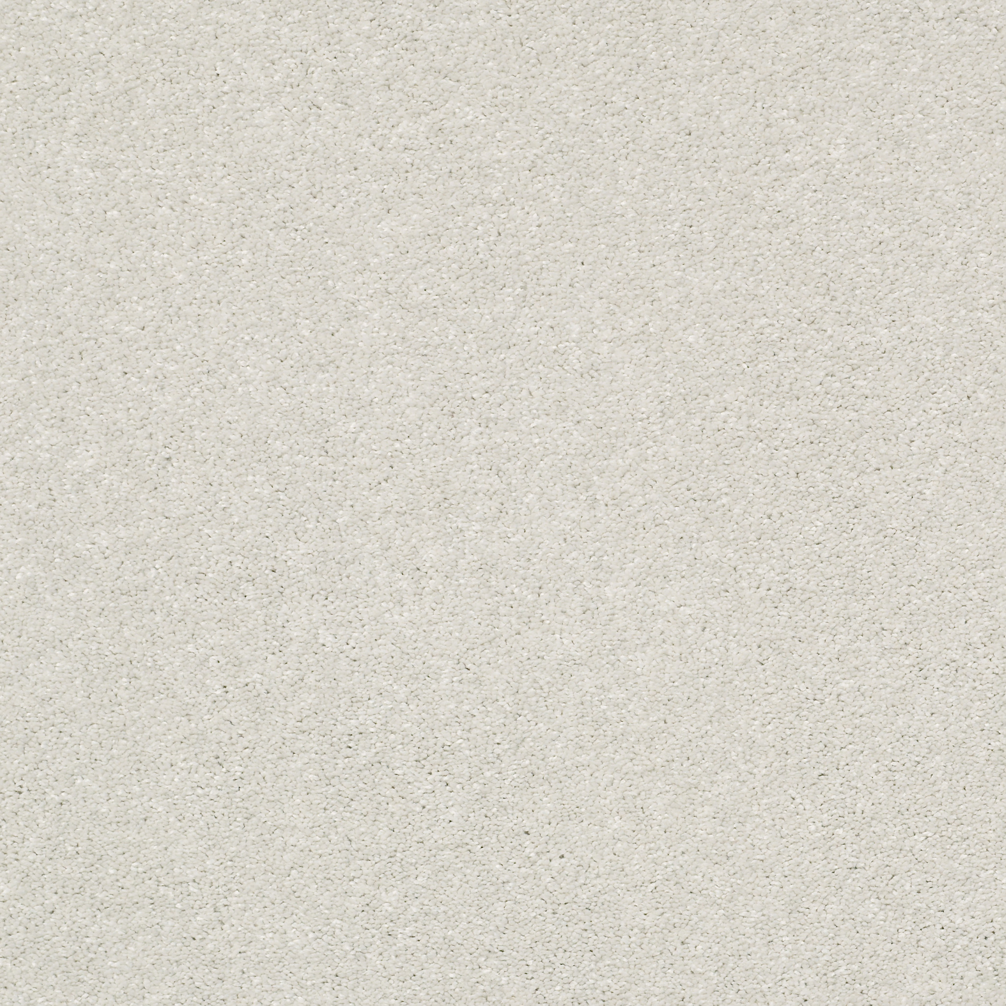 BASIC RULES DEW MAIN