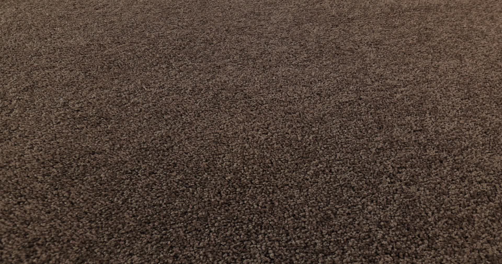 LAGUNA BEACH MAPLE 360PROD