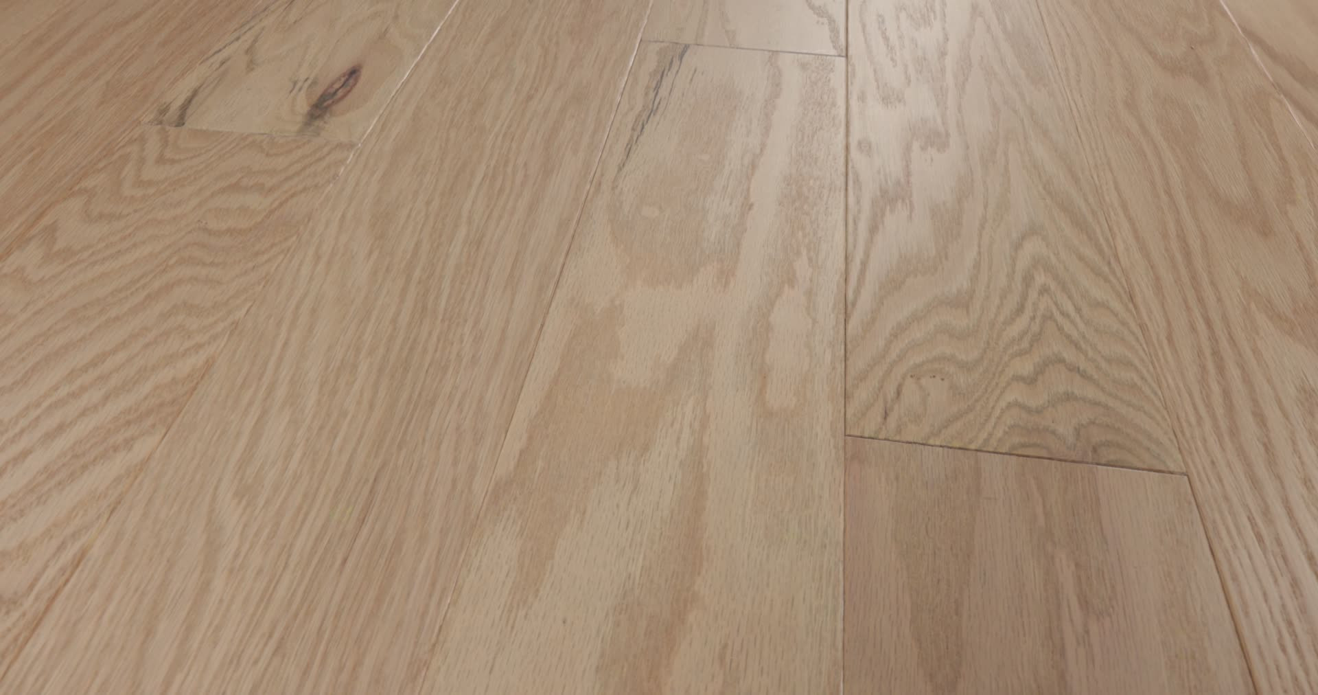 ALBRIGHT OAK 5 BISCUIT LG 360PROD