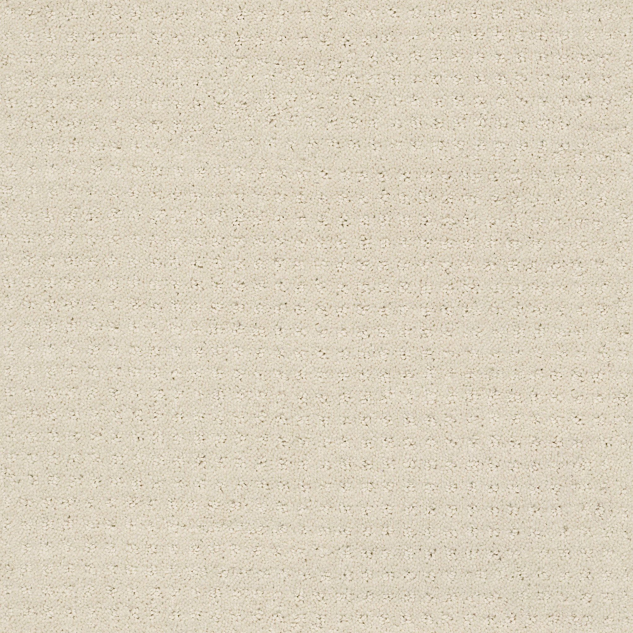 ALLURING DISPOSITION ALABASTER MAIN