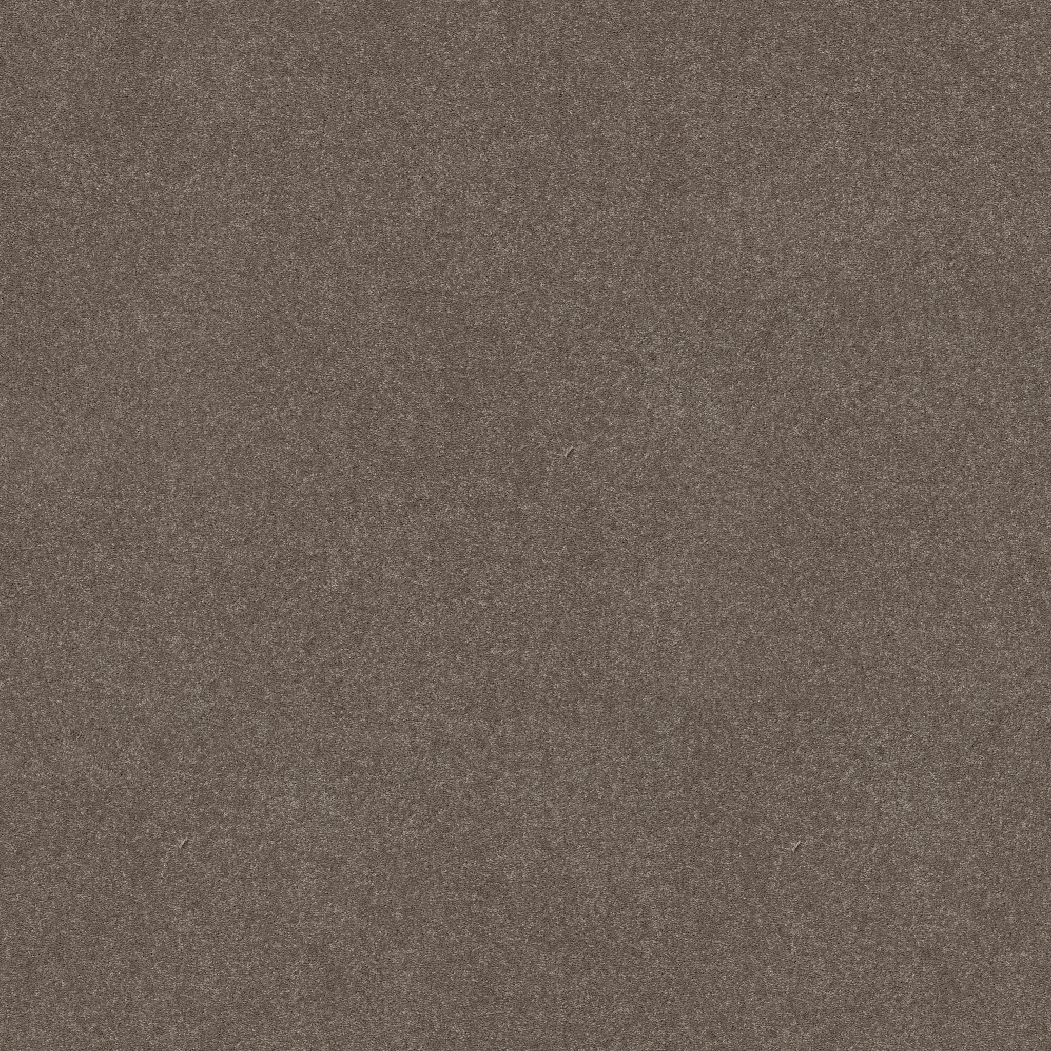 EASY SPIRIT III 12' PEWTER MAIN