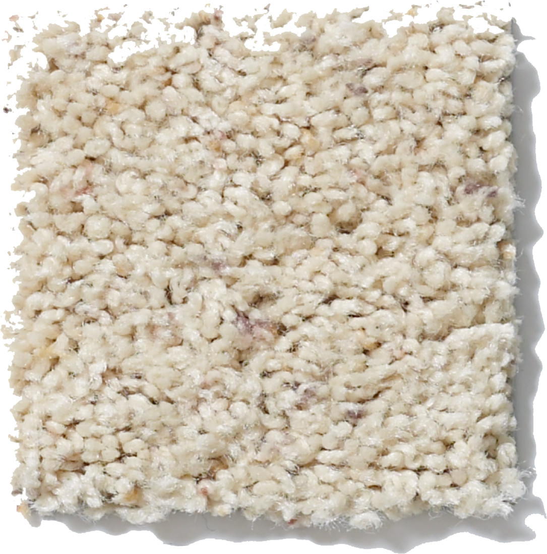 FUSION VALUE 400 SOUTHERN CHARM SWATCH