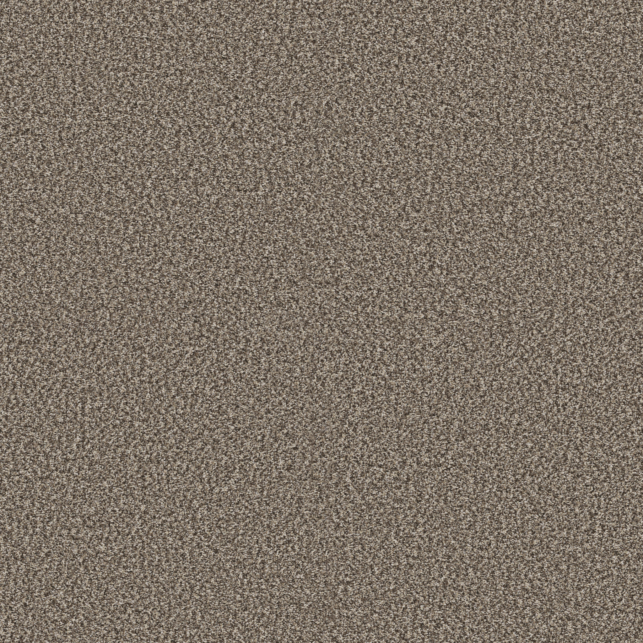 ARTISTIC FUSION I SOFT SENSE MAIN