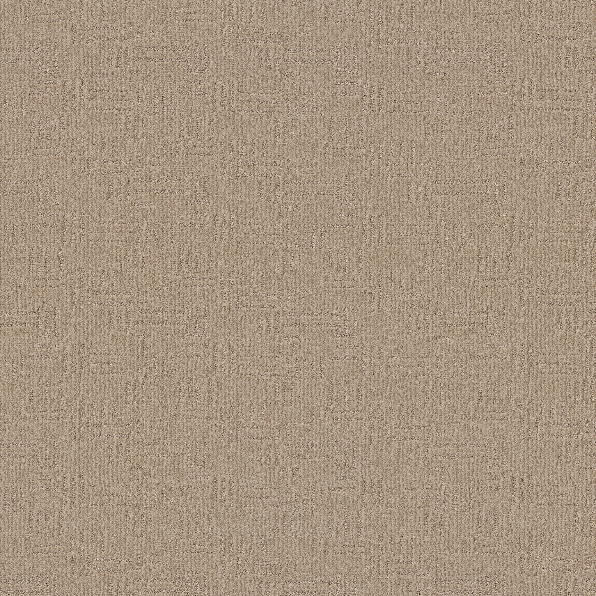 DIEGO PARCHMENT MAIN