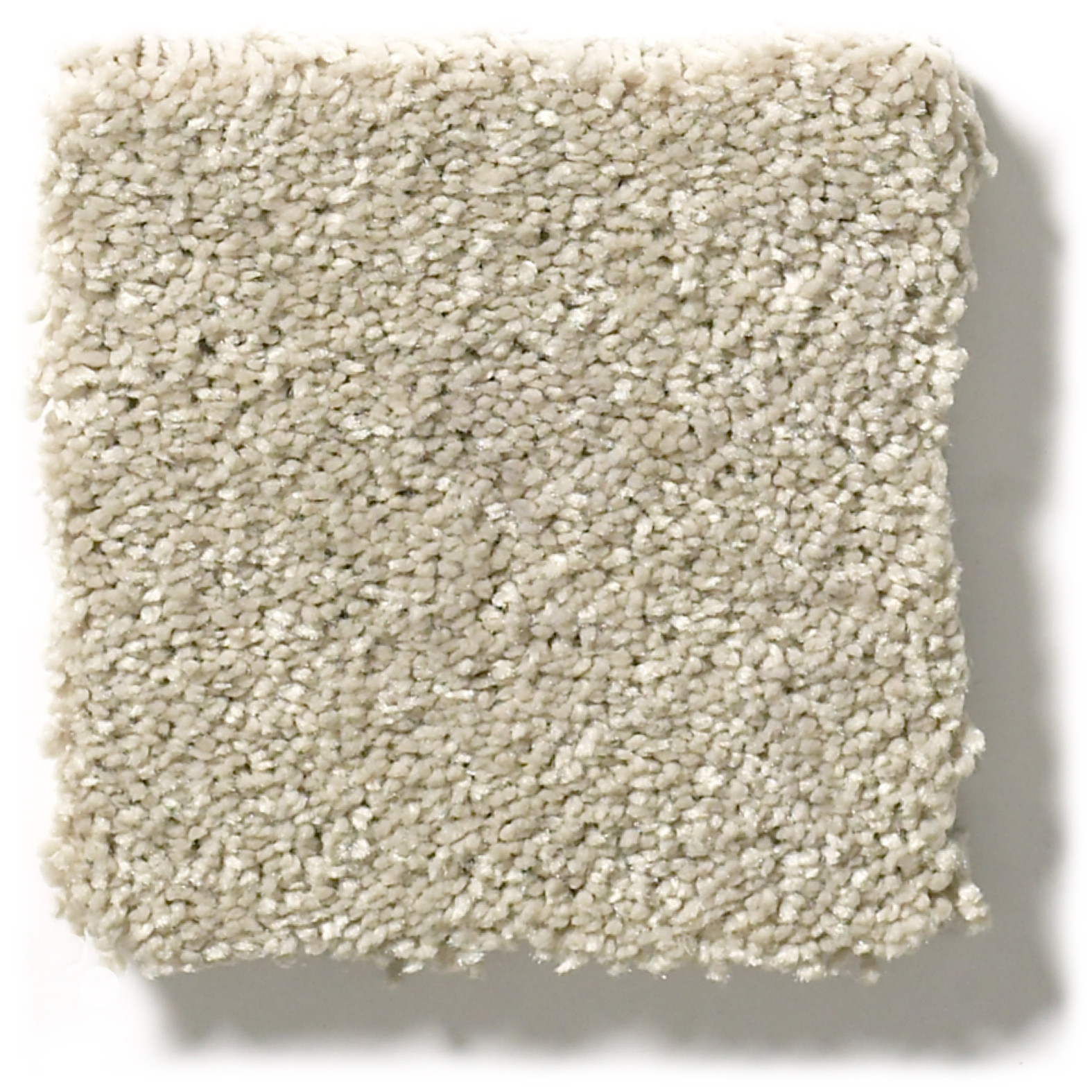 BASIC RULES VICUNA SWATCH