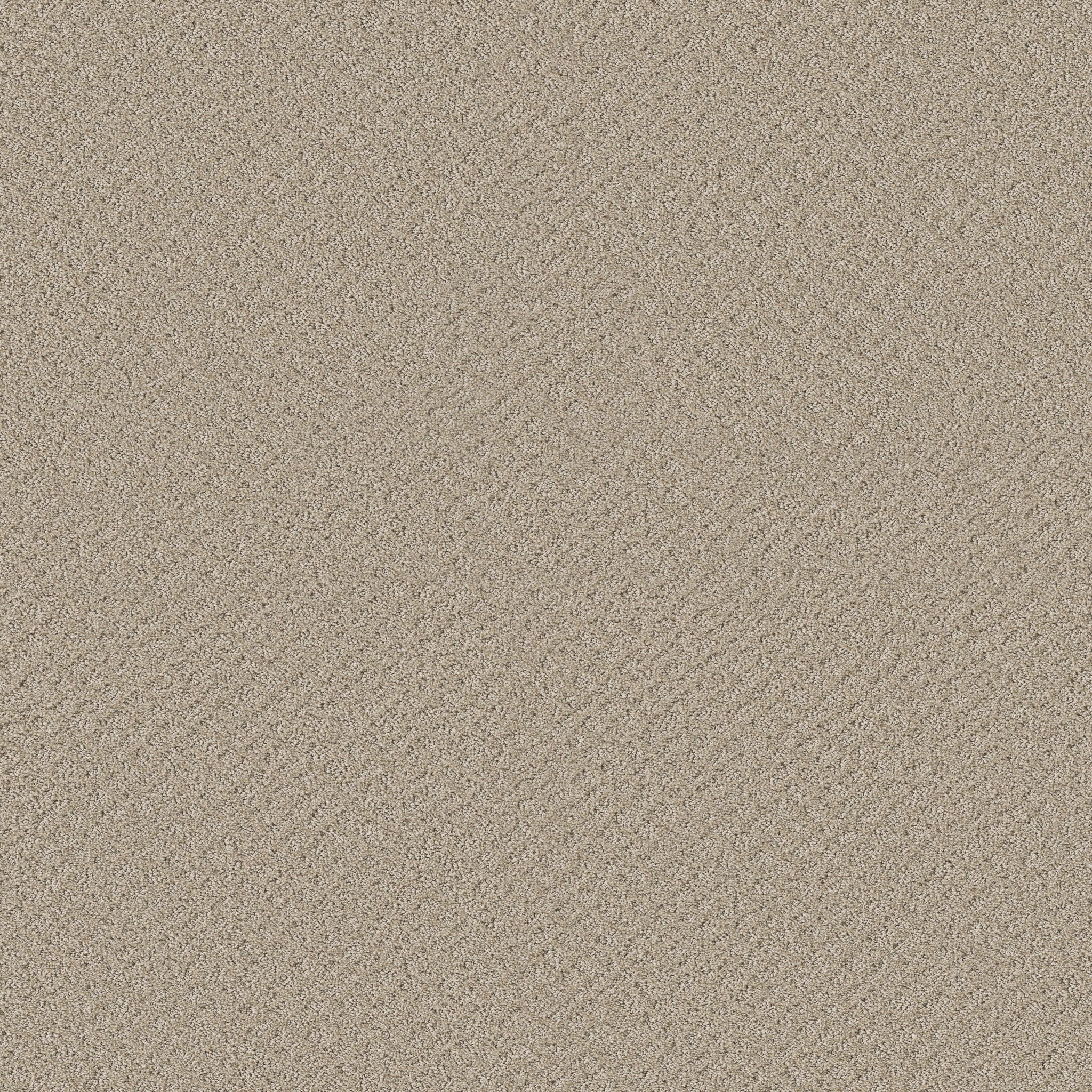 CHIC SHADES BUTTER CREAM MAIN