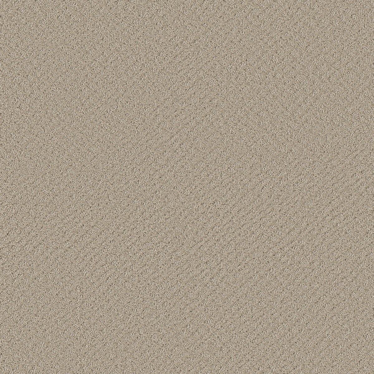 Shaw Floors CHIC SHADES — BUTTER CREAM