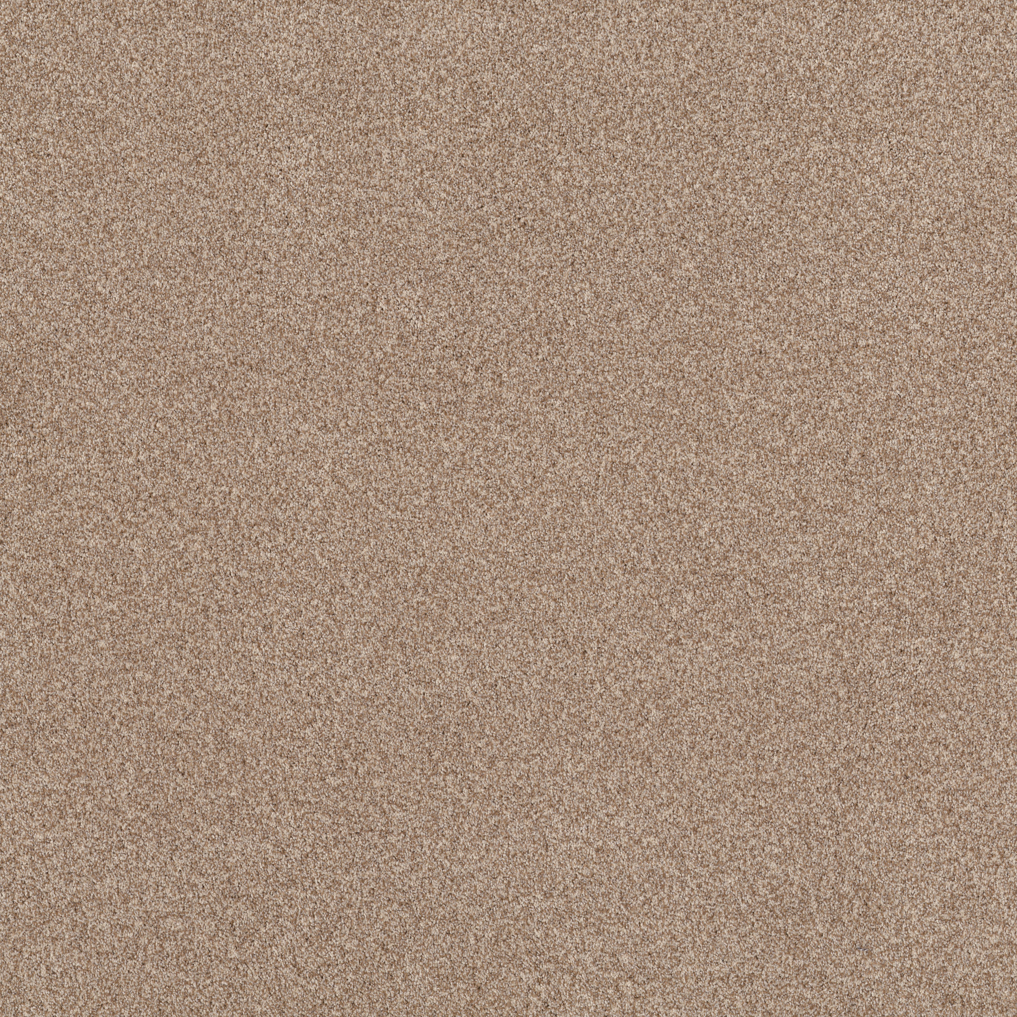 BOSSA NOVA POTTER'S CLAY MAIN