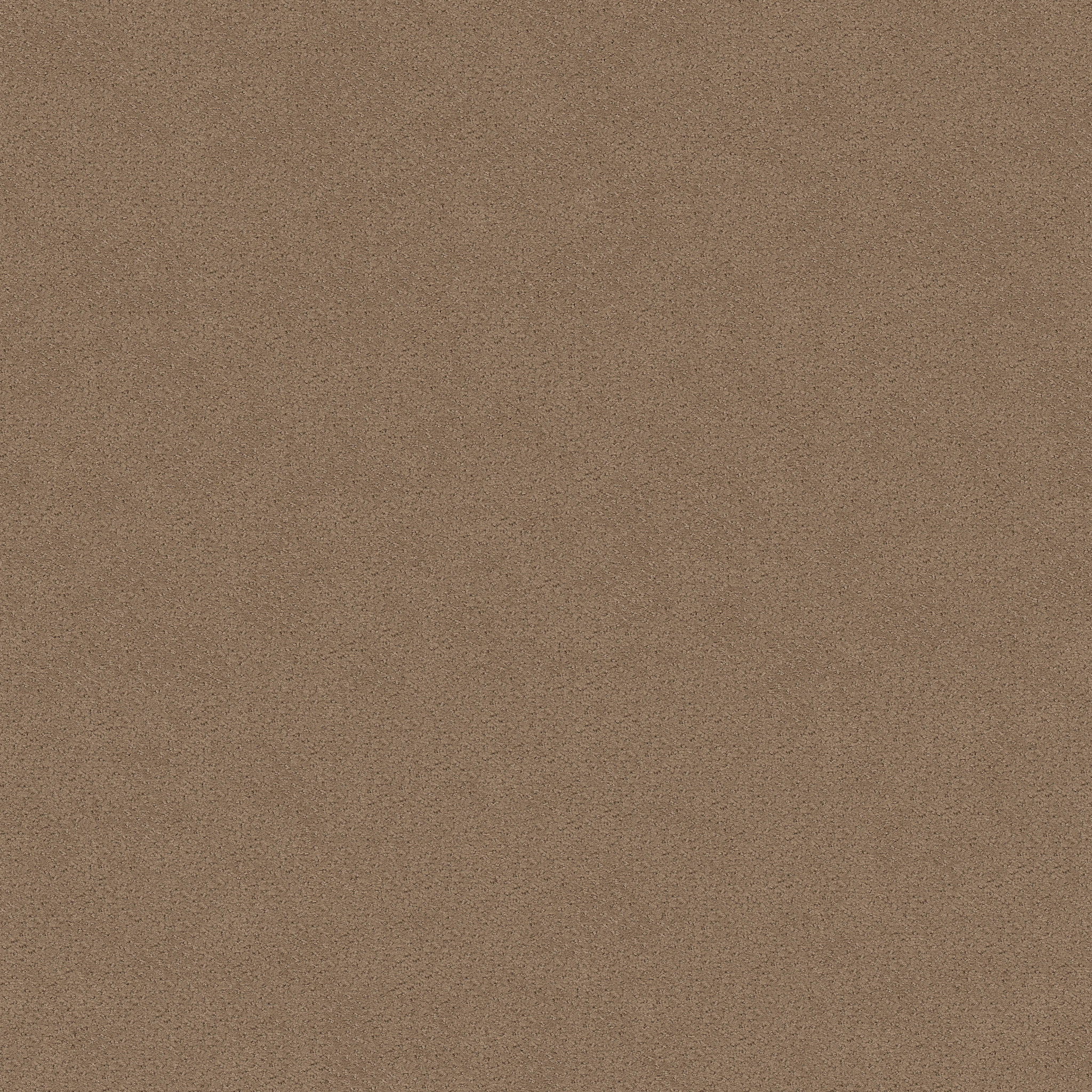 MAINSTAY RAW WOOD MAIN