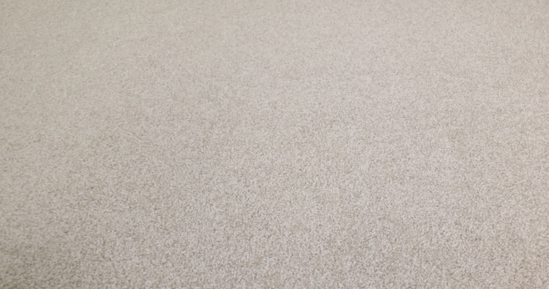 AG True Delight I DELICATE WHITE 360PROD