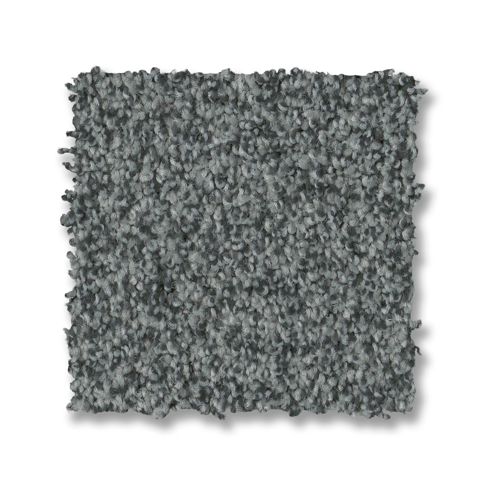 TERRA NOVA NORWEGIAN SWATCH