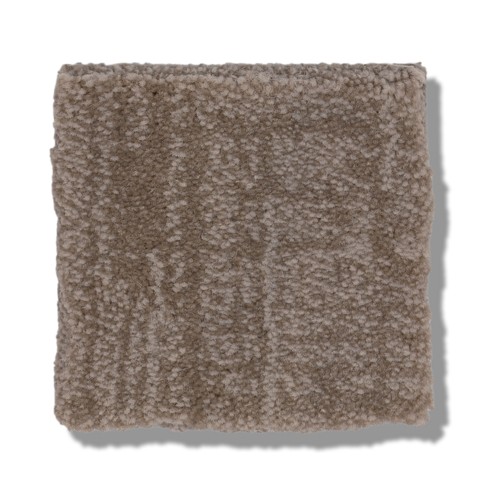 INSIGHTFUL JOURNEY TUMBLEWEED SWATCH