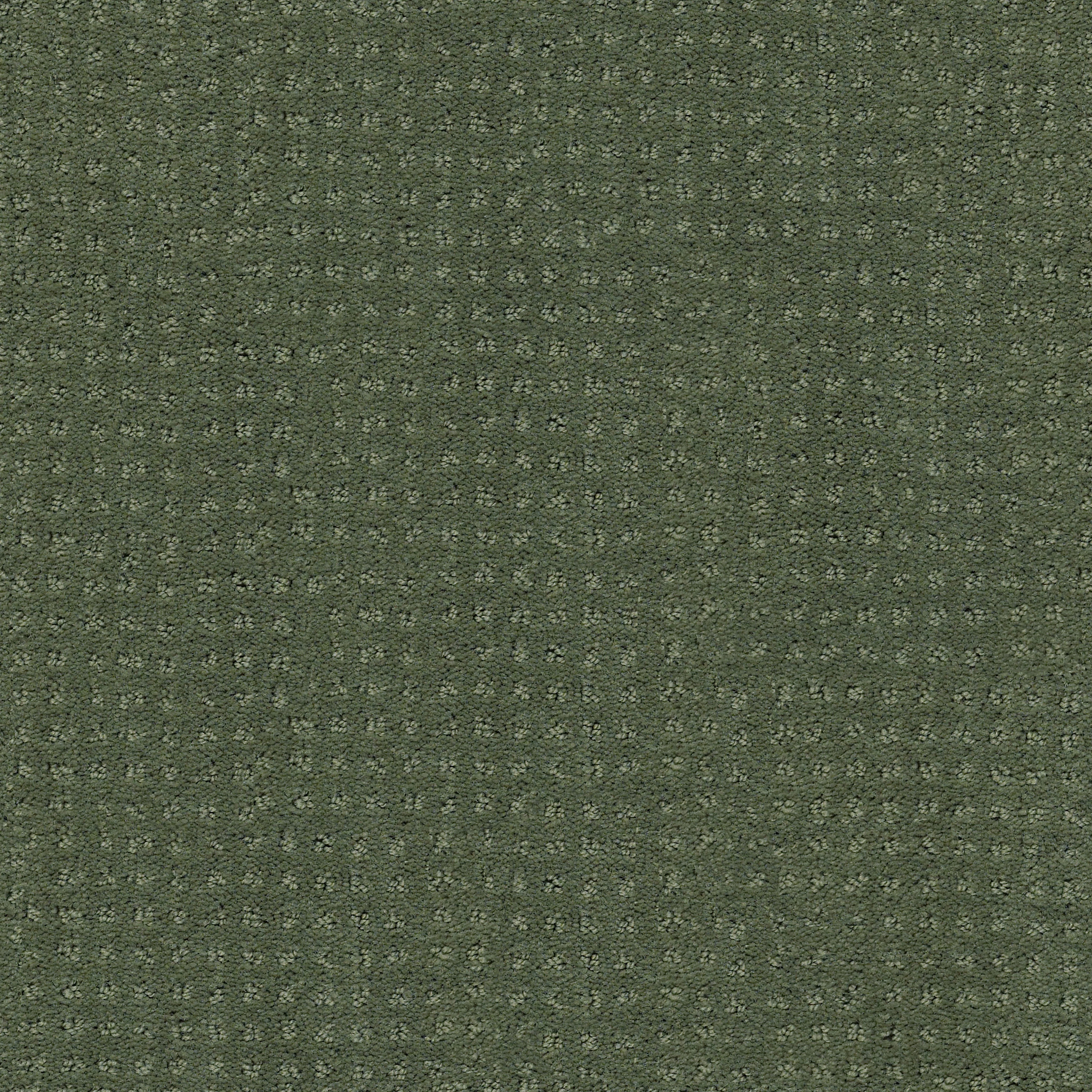 ALLURING DISPOSITION LUSH GARDEN MAIN