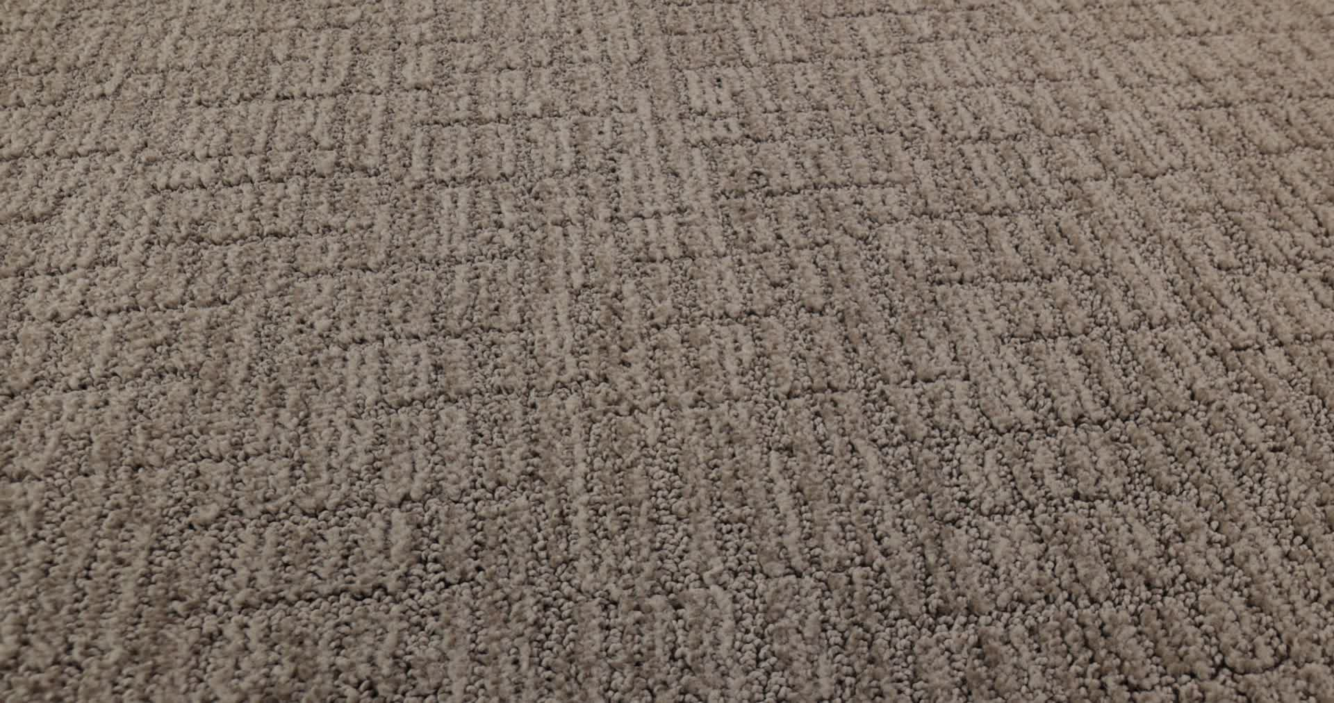 WANDERER STONISH 360PROD