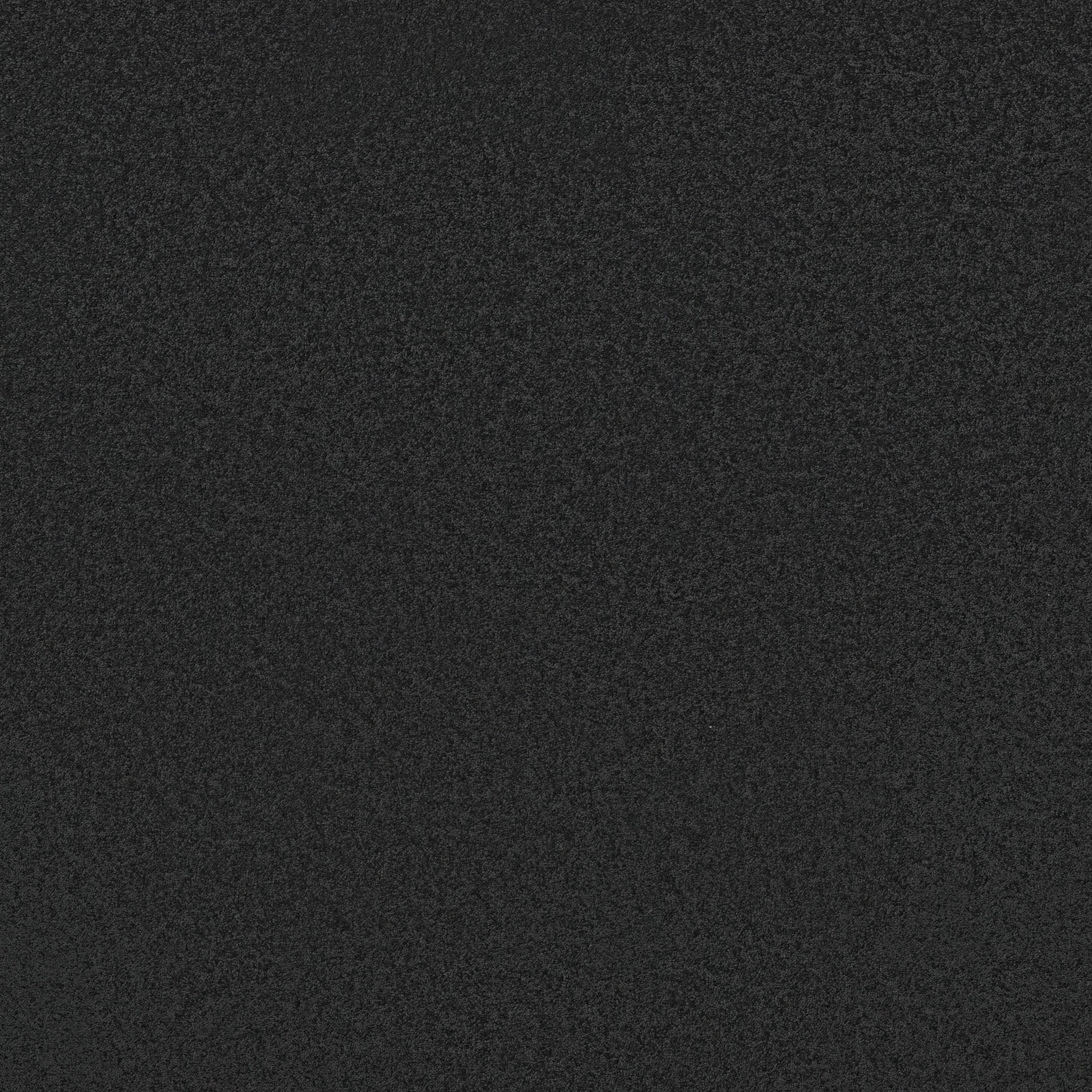 SANDY HOLLOW CLASSIC I 12&#x27; GRAPHITE MAIN