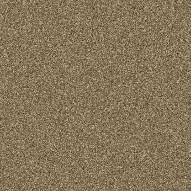 Malibu Beach SNS02 Broadloom Carpet in Reed color, 100% Nylon, 12ft width, textured finish
