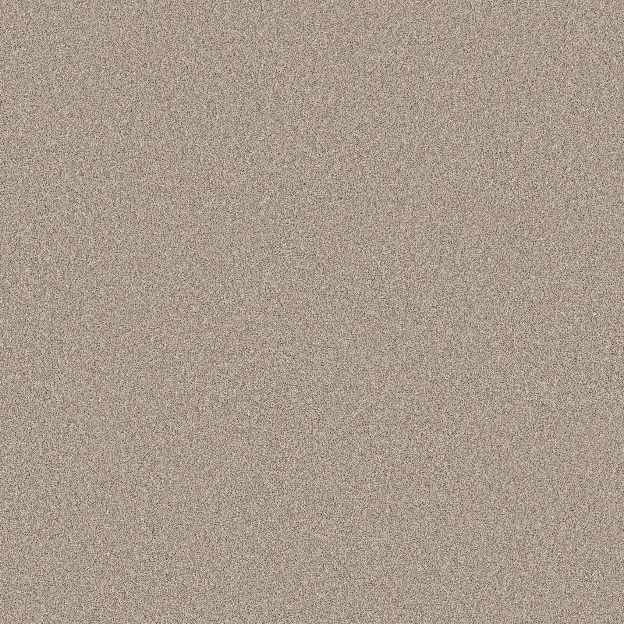 Beige broadloom carpet swatch