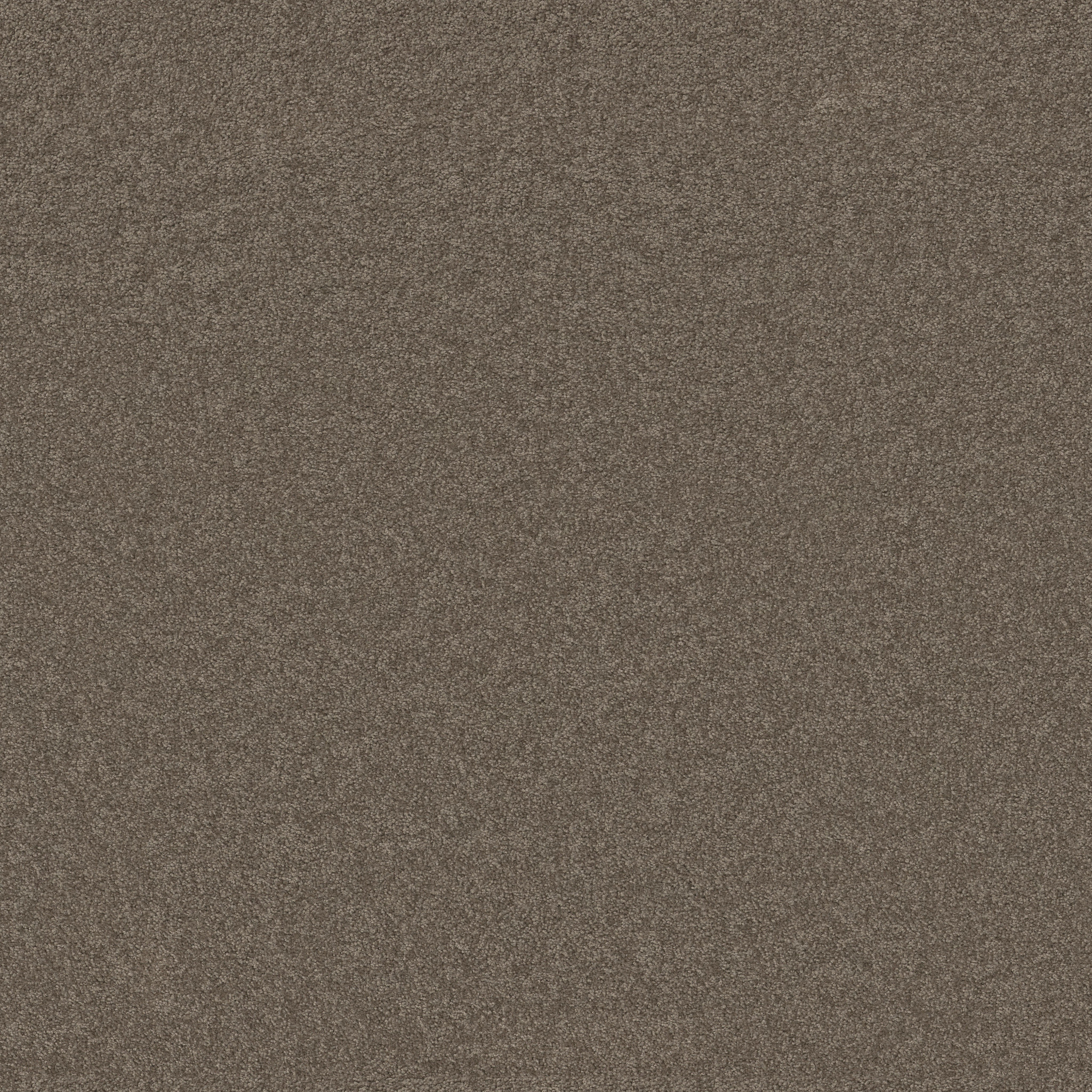 PERFECTLY TIMED RUSTIC TAUPE MAIN