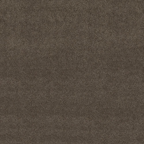 Chestnut Ridge 00751