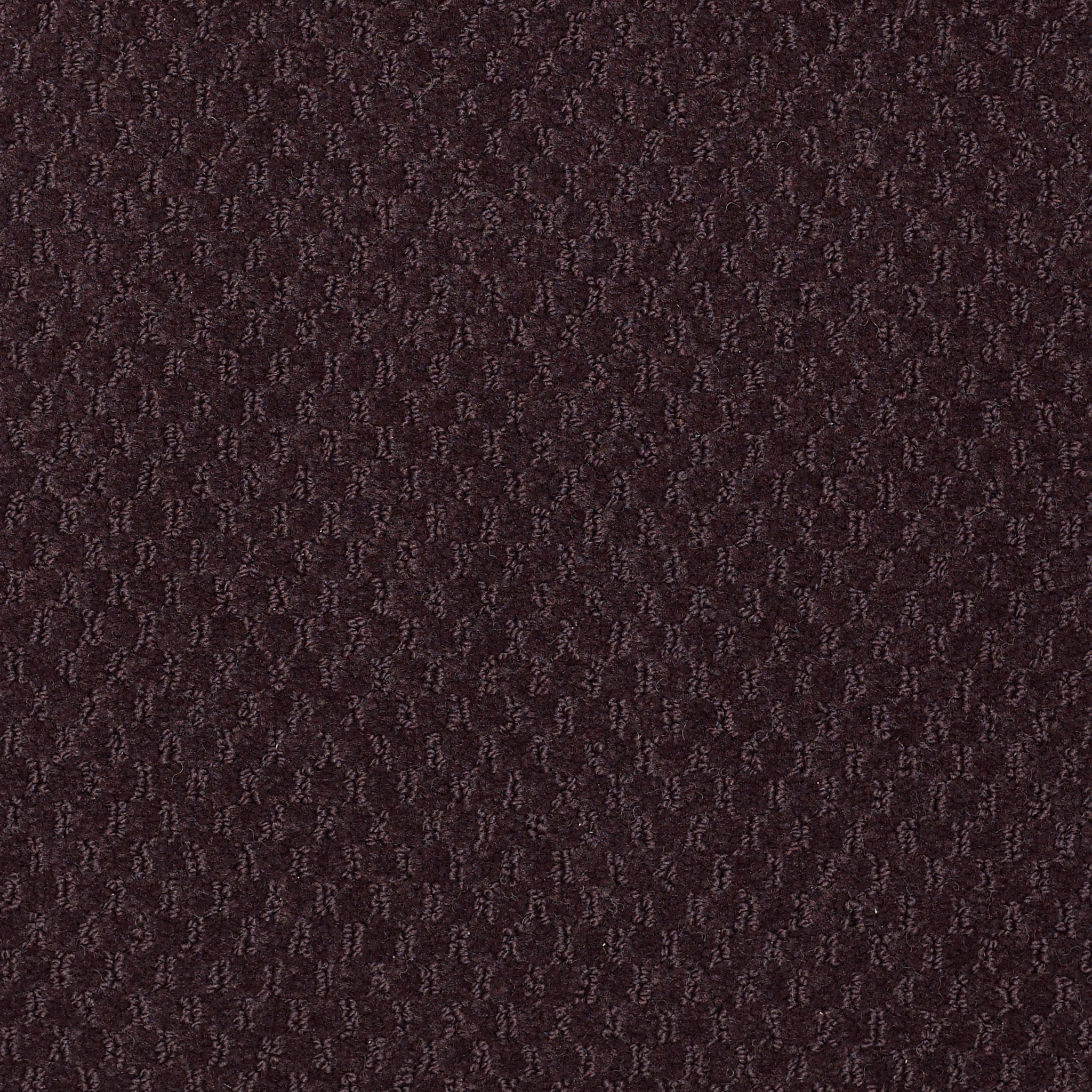 ELEMENTS-Q0421-PLUM-NELLY-21950-main-image