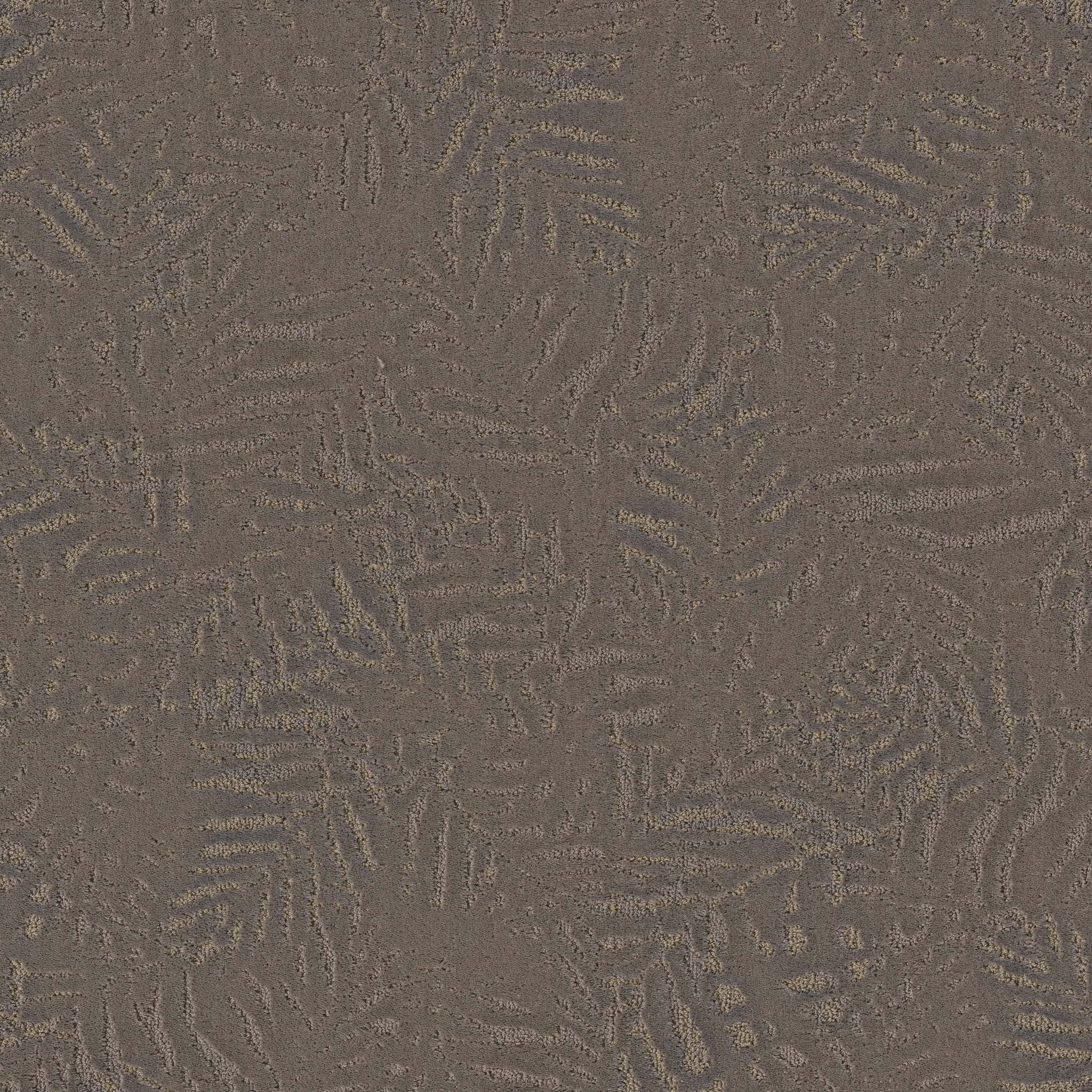 AUTOGRAPH FORMAL AFFAIR MAIN