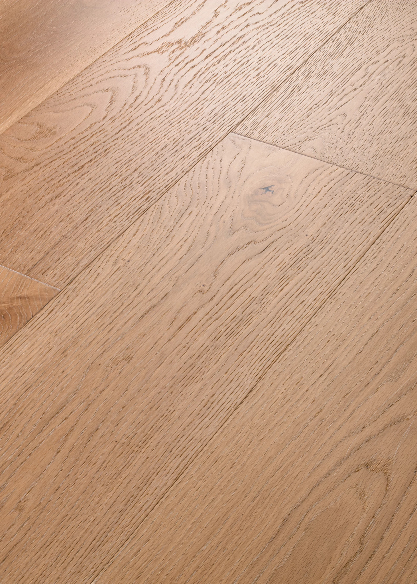 EXPRESSIONS 9.5" WATERCOLOR ANGLED