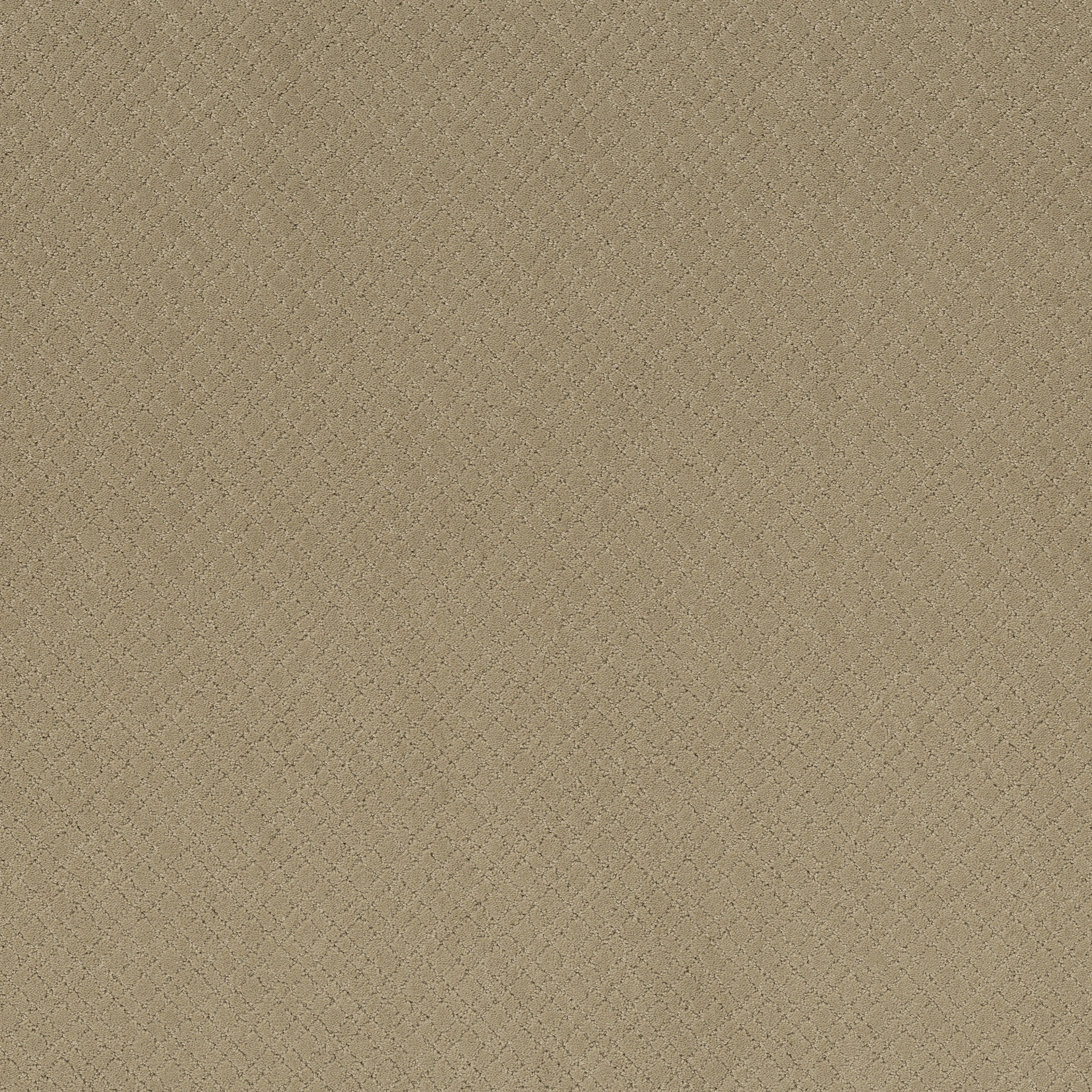 MOSAIC CORONADO MAIN