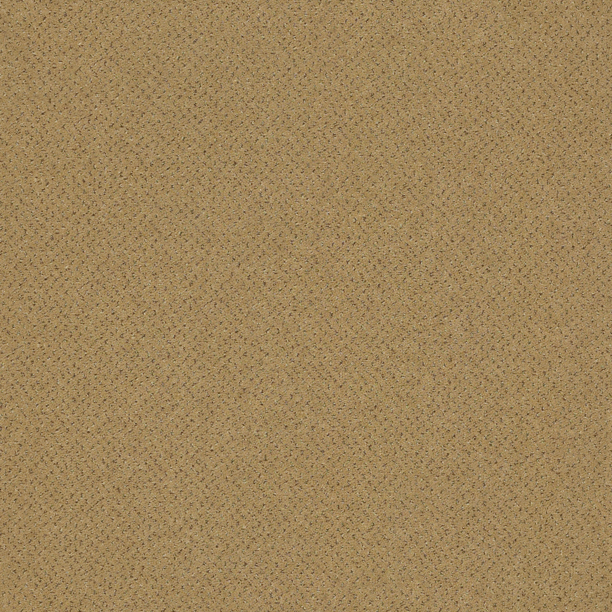 FUTURE-GENERATIONS-54644-DOERS-44102-main-image