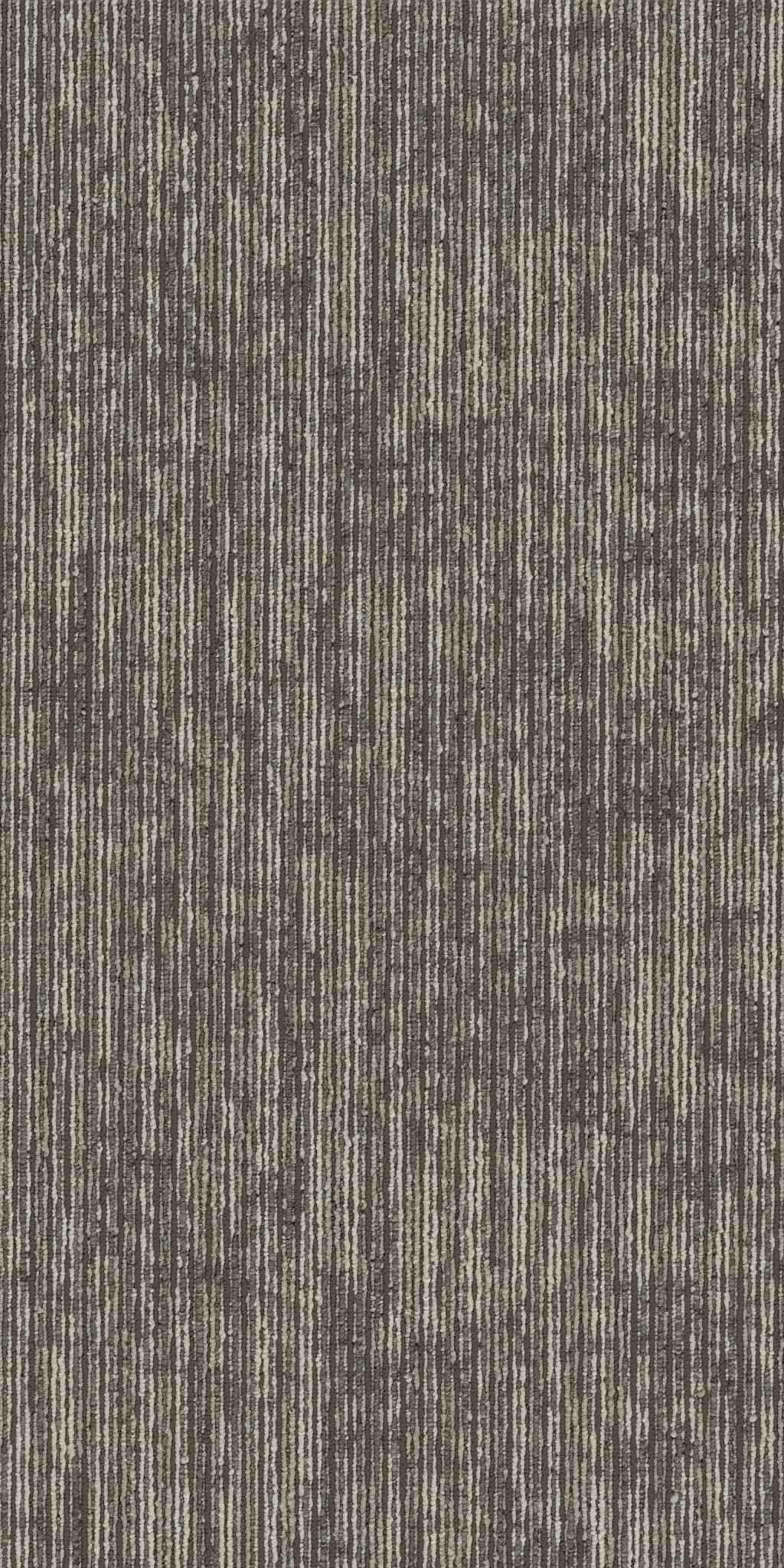 AIM-HIGH-54996-ENCOURAGE-00100-main-image