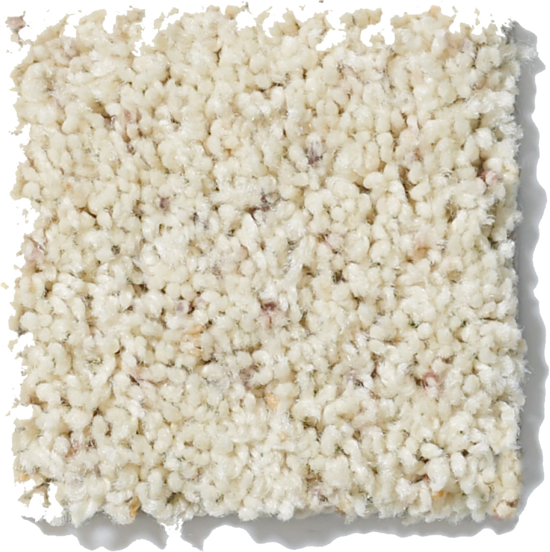 COMPLETE ALLURE (B) HAYSEED SWATCH