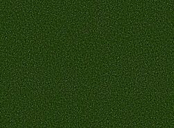 FREE-TIME-5MM-54731-FIELD-GREEN-00300-main-image