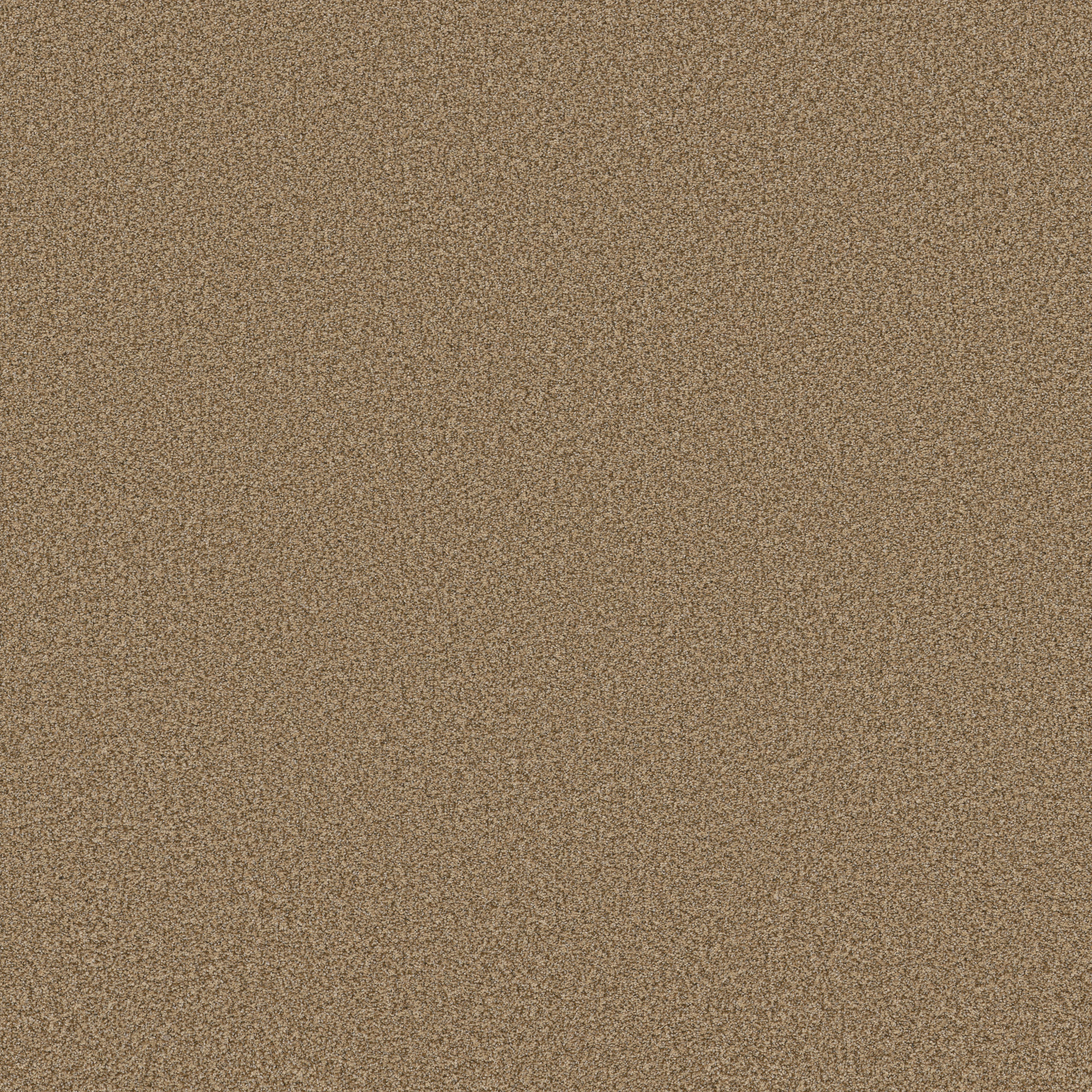 SOMERSET POWDERED GOLD MAIN