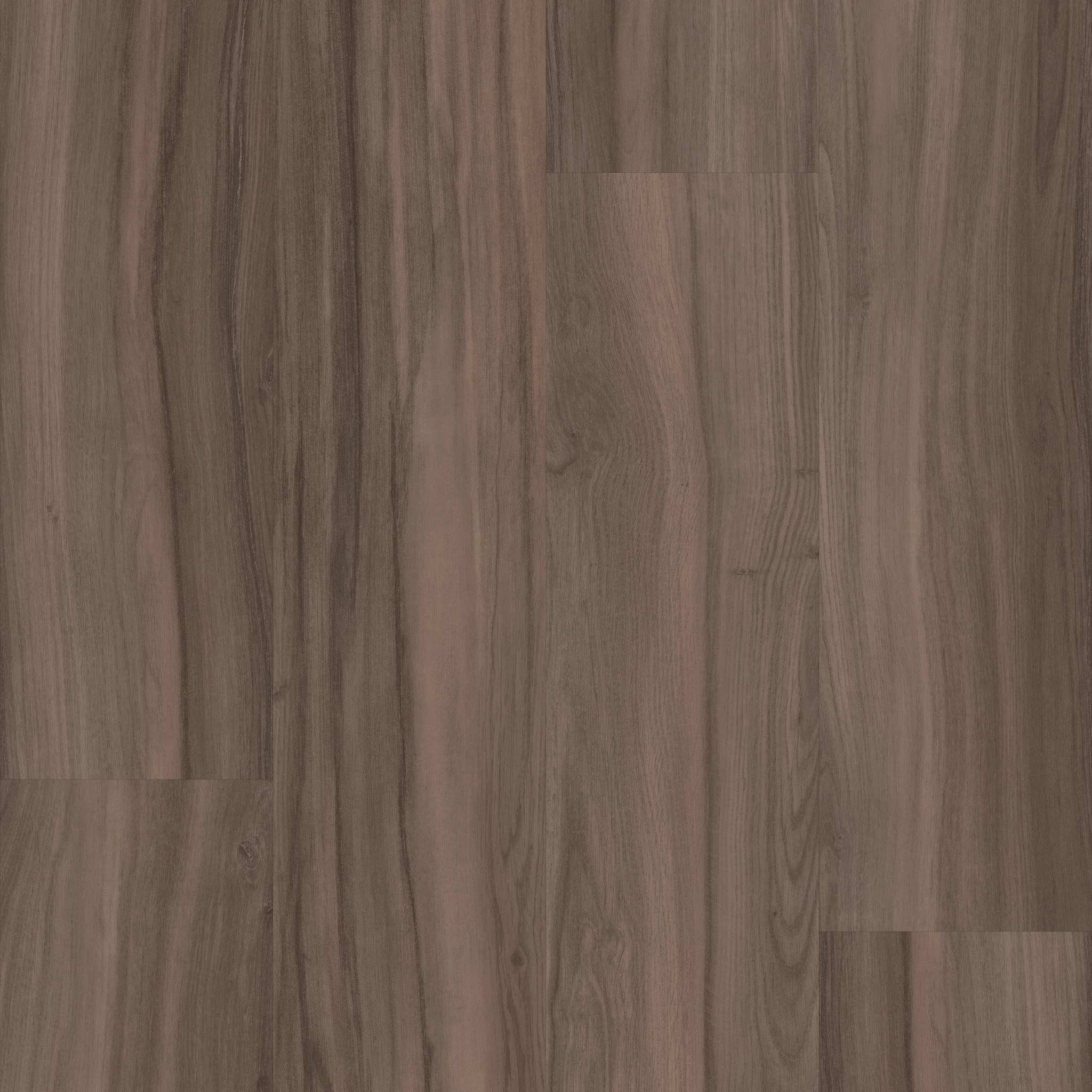 REWILD-5667V-VENTURE-00709-main-image