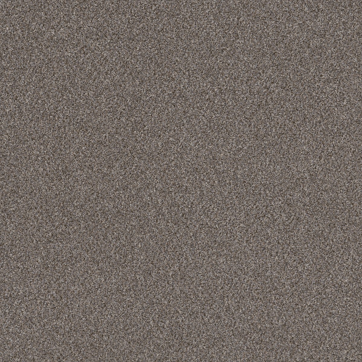 Shaw Floors RIGHT CHOICE — BALTIC STONE