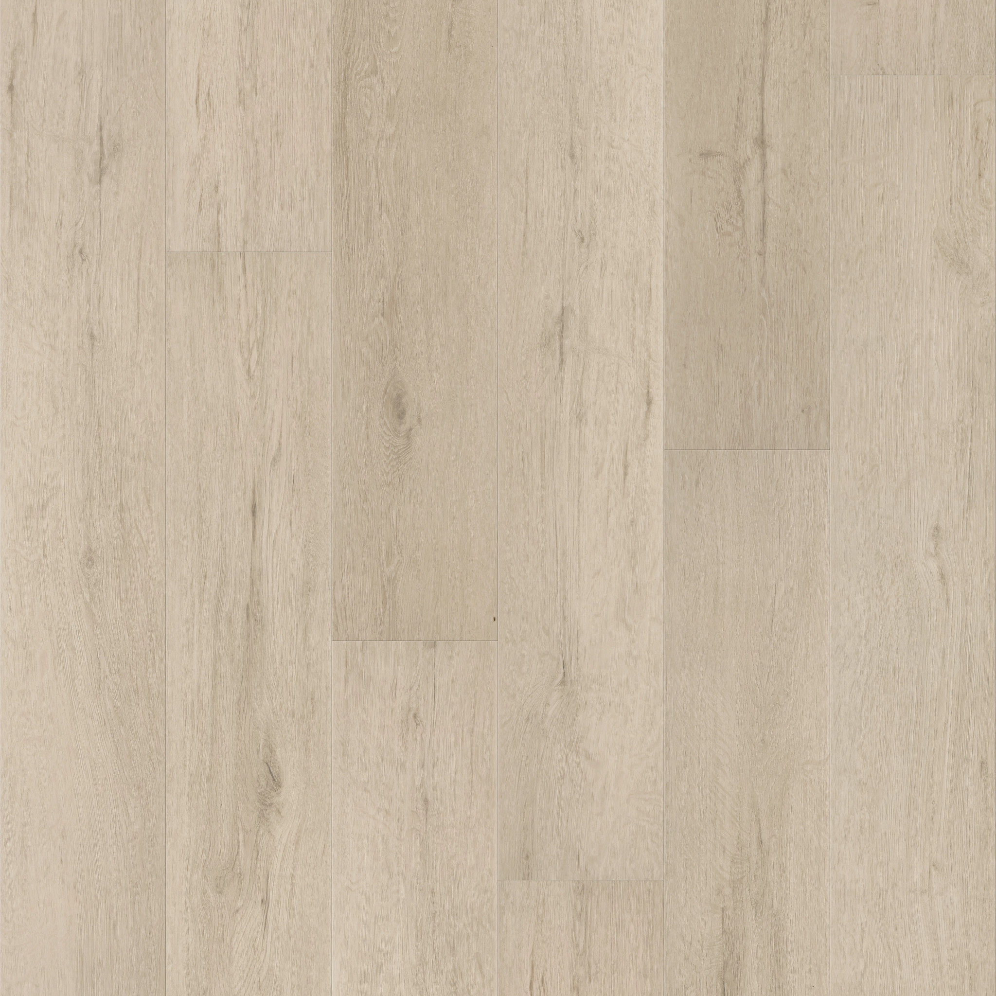 PANTHEON HD+ NATURAL BEVEL FRESCO CREAM MAIN