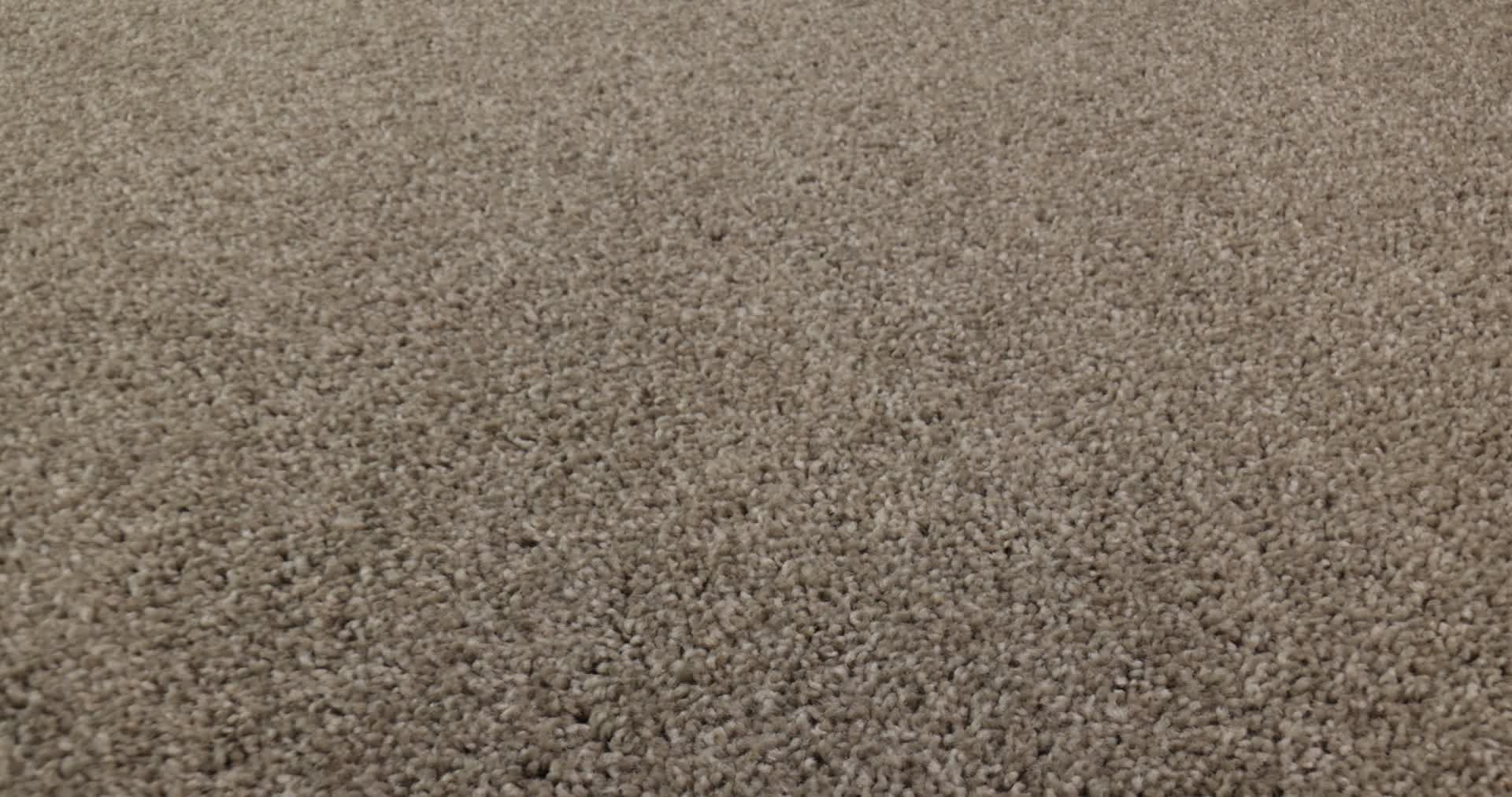 HOT TOPIC QUIET TAN 360PROD